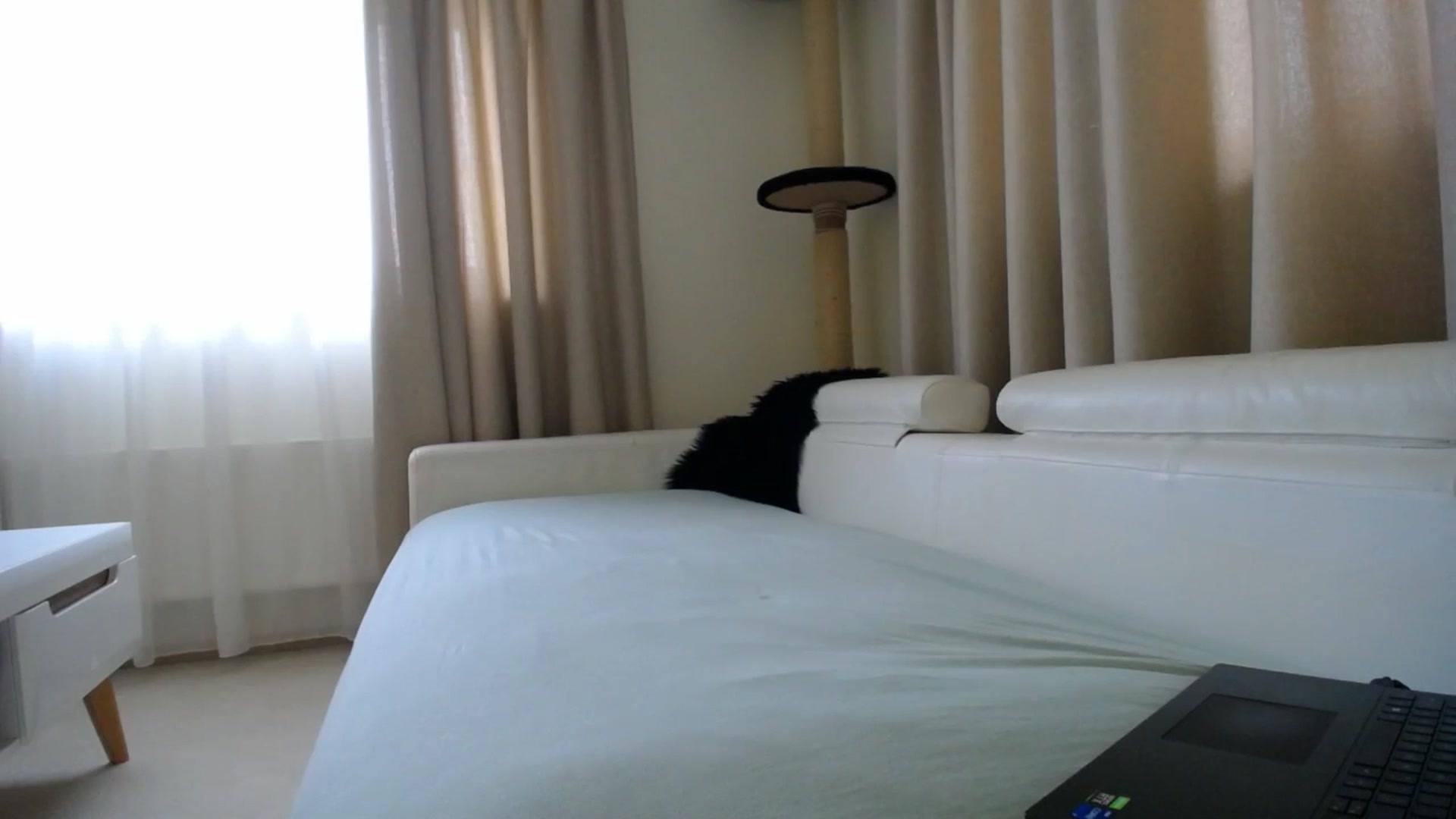 Gallery image thumbnail from EmilyTease's myfreecams stream on, 01/26/2026, 13:04 image 15 of 20