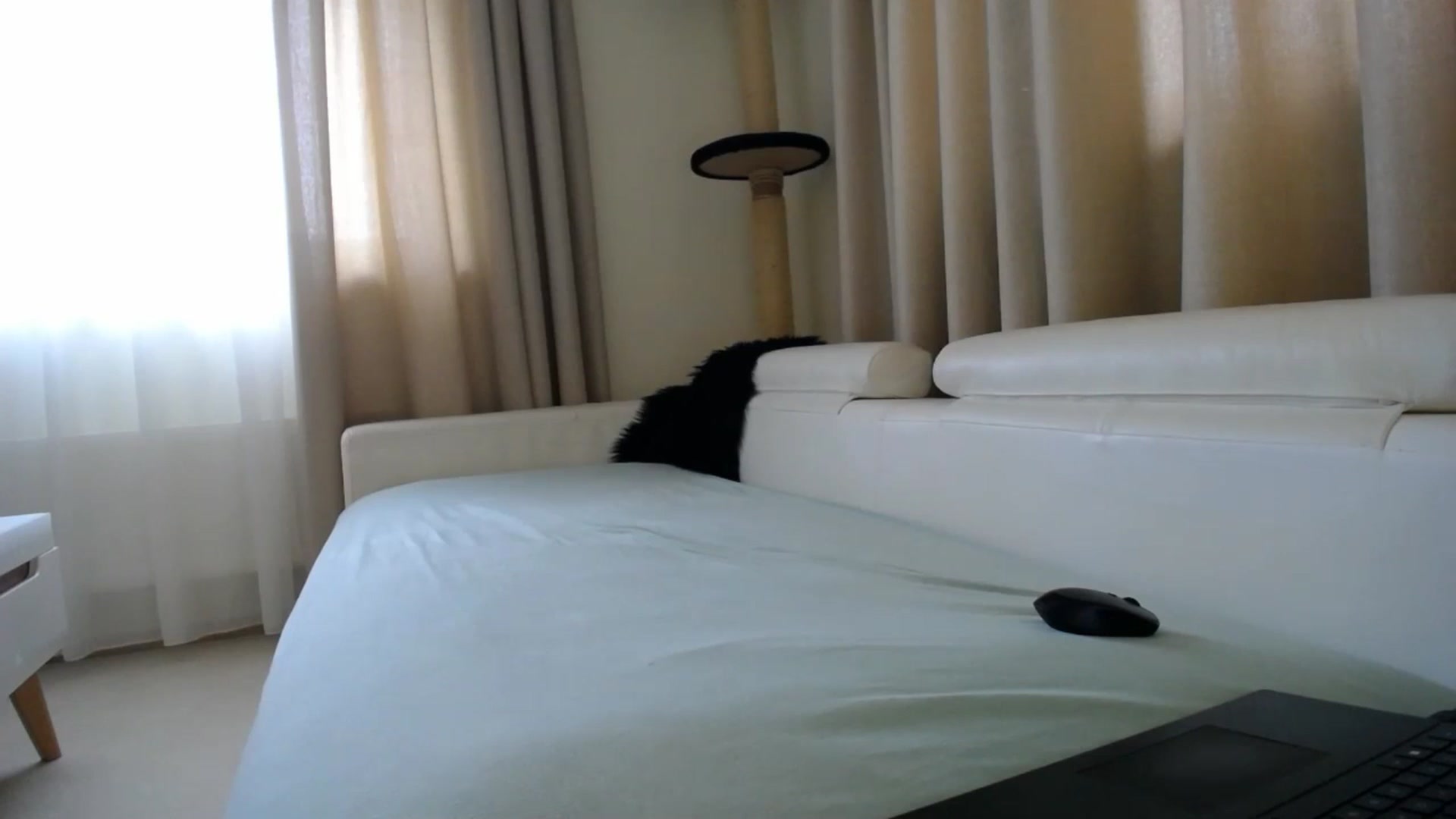 Gallery image thumbnail from EmilyTease's myfreecams stream on, 01/27/2026, 12:39 image 10 of 20