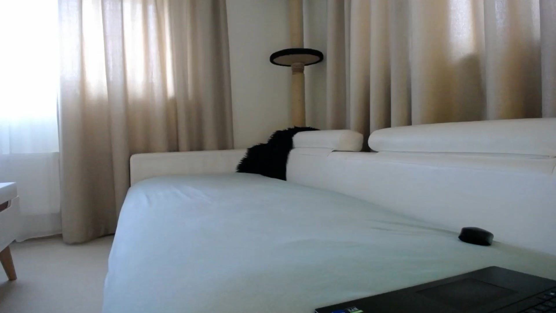 Gallery image thumbnail from EmilyTease's myfreecams stream on, 01/28/2026, 13:20 image 11 of 20