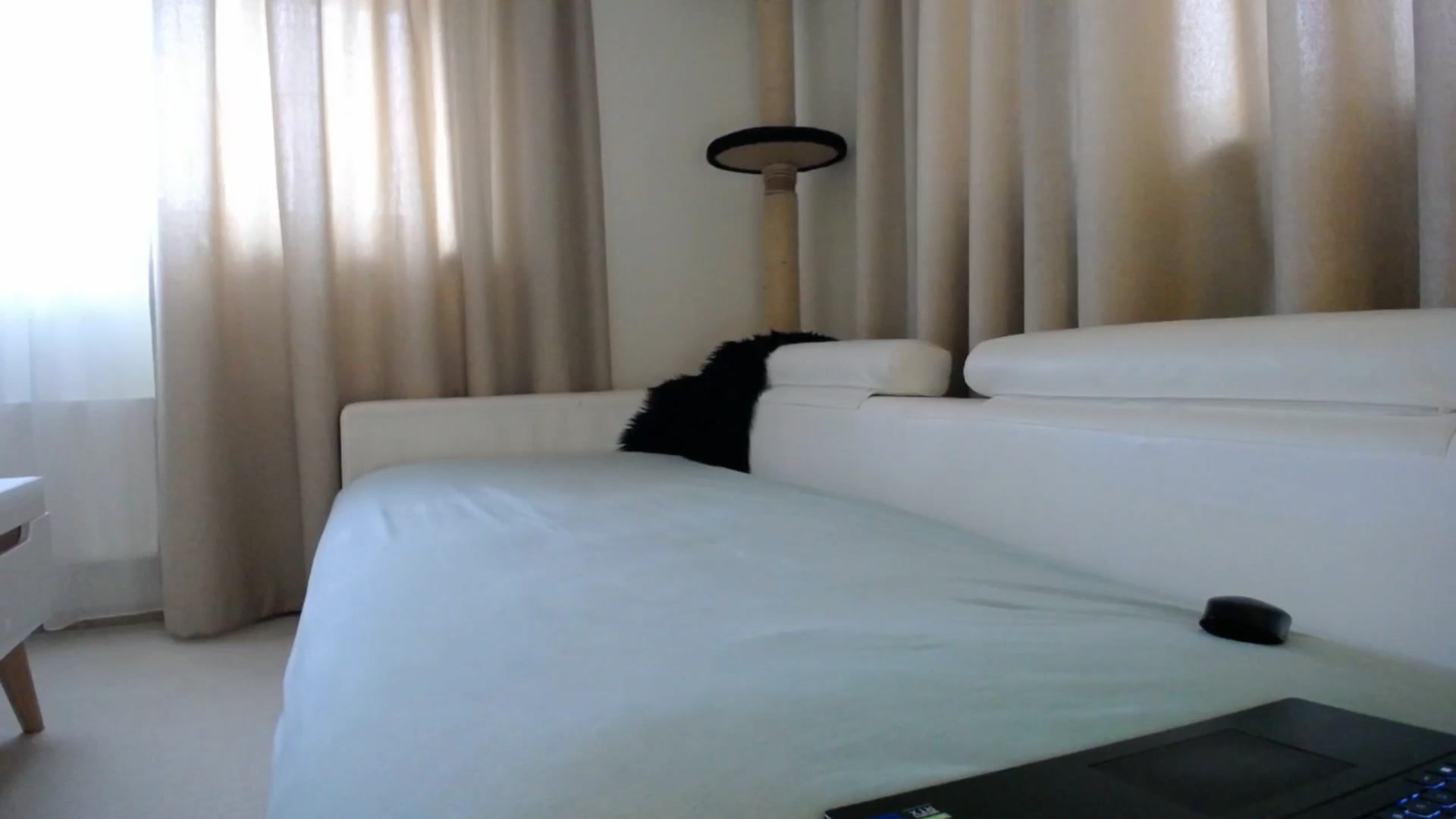 Gallery image thumbnail from EmilyTease's myfreecams stream on, 01/28/2026, 13:20 image 9 of 20