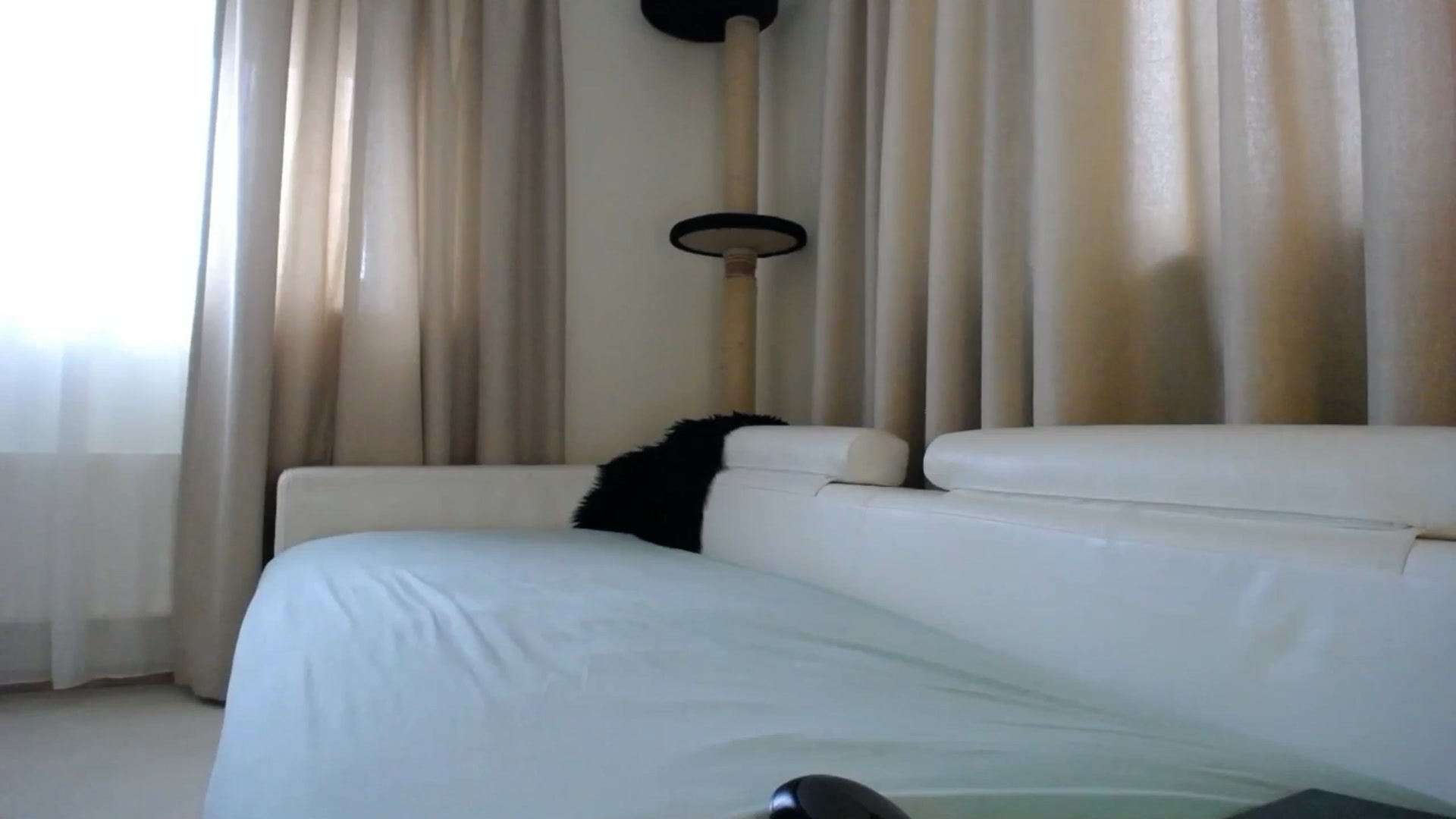 Gallery image thumbnail from EmilyTease's myfreecams stream on, 01/29/2026, 13:42 image 15 of 20