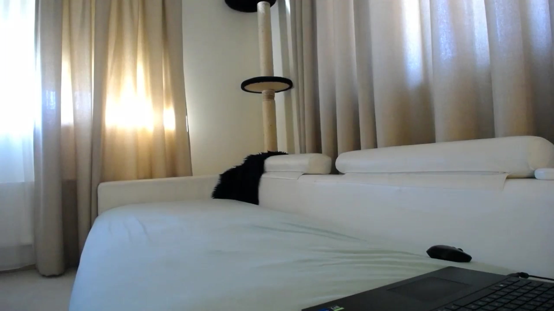 Gallery image thumbnail from EmilyTease's myfreecams stream on, 01/30/2026, 11:39 image 11 of 20