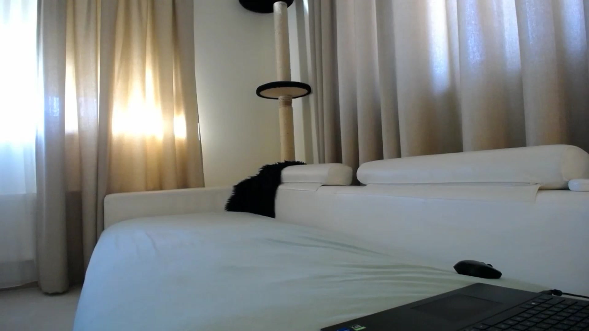 Gallery image thumbnail from EmilyTease's myfreecams stream on, 01/30/2026, 11:39 image 12 of 20