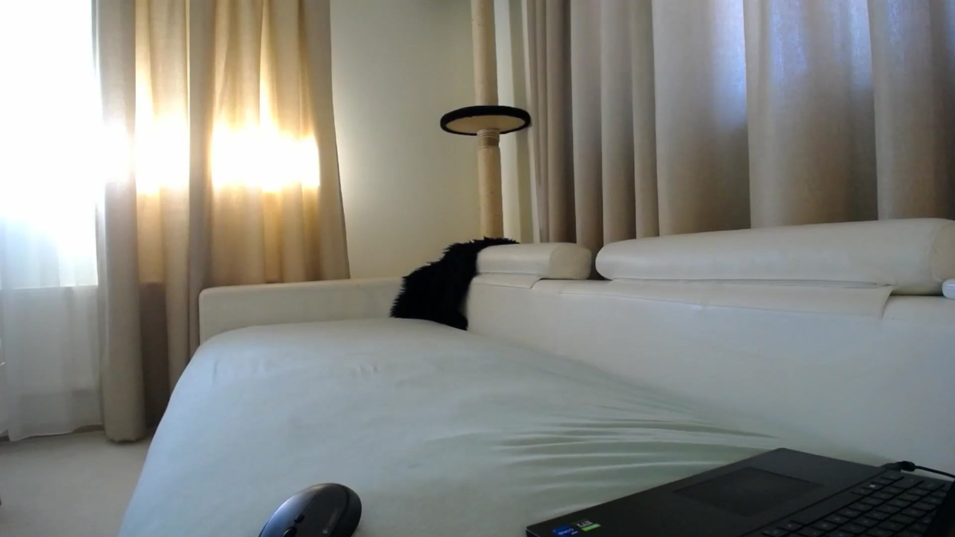 Gallery image thumbnail from EmilyTease's myfreecams stream on, 01/30/2026, 12:32 image 18 of 20