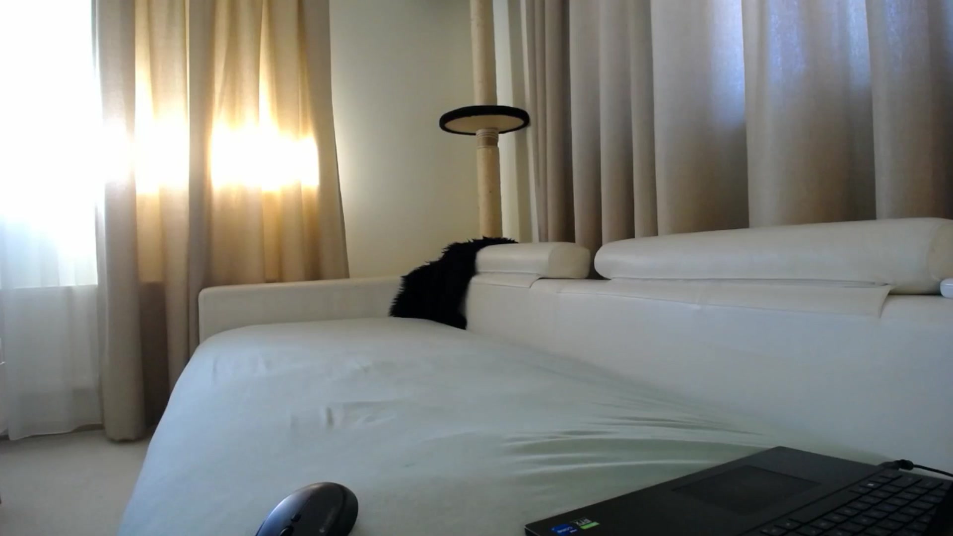 Gallery image thumbnail from EmilyTease's myfreecams stream on, 01/30/2026, 12:32 image 19 of 20