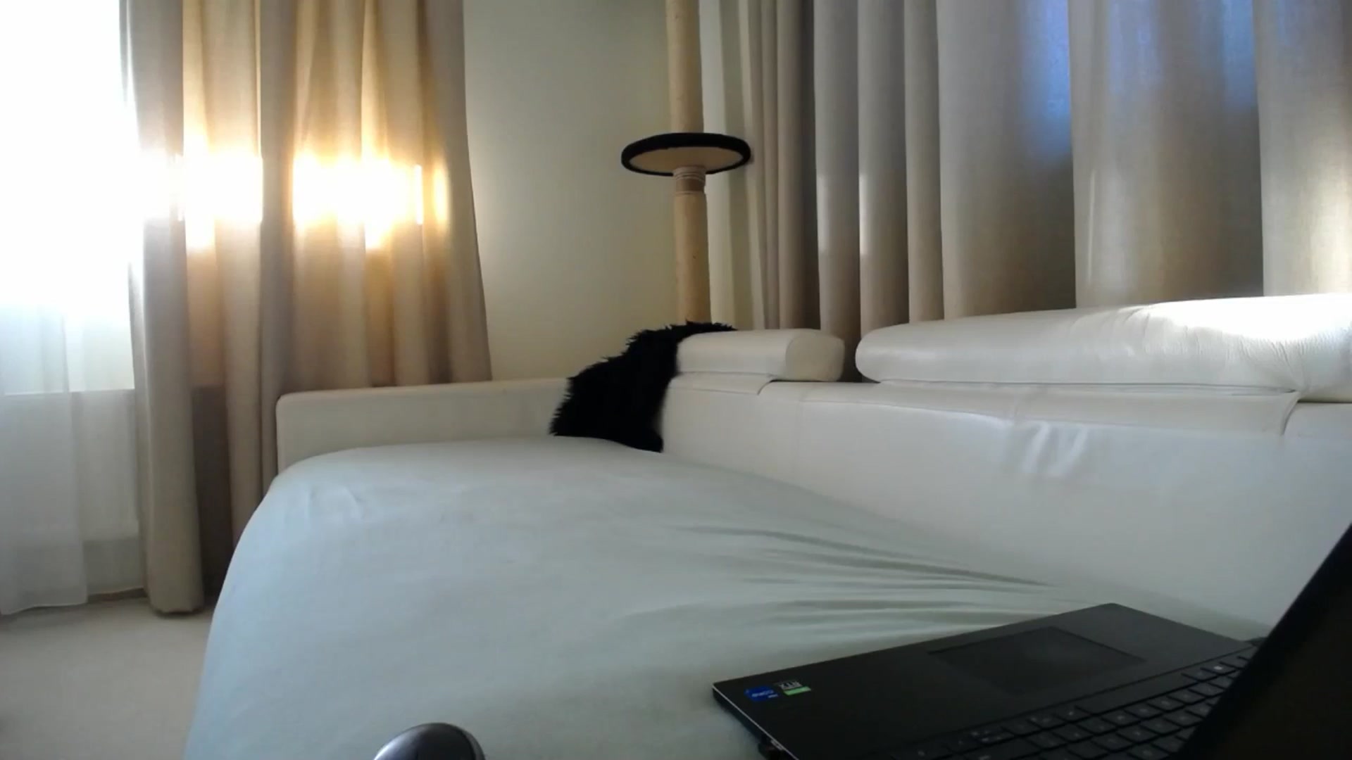 Gallery image thumbnail from EmilyTease's myfreecams stream on, 01/30/2026, 14:12 image 1 of 20