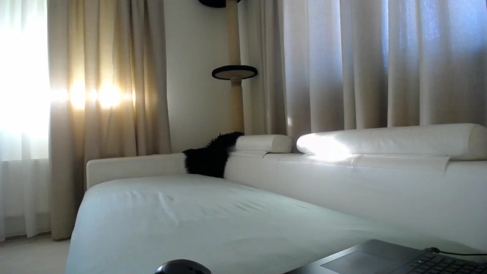 Gallery image thumbnail from EmilyTease's myfreecams stream on, 02/02/2026, 14:29 image 11 of 20