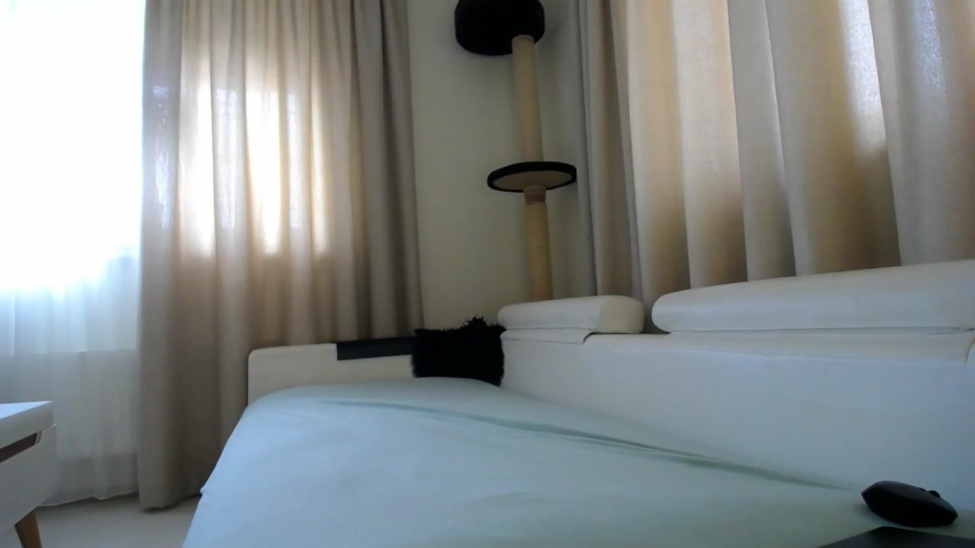 Gallery image thumbnail from EmilyTease's myfreecams stream on, 02/10/2026, 10:51 image 16 of 20