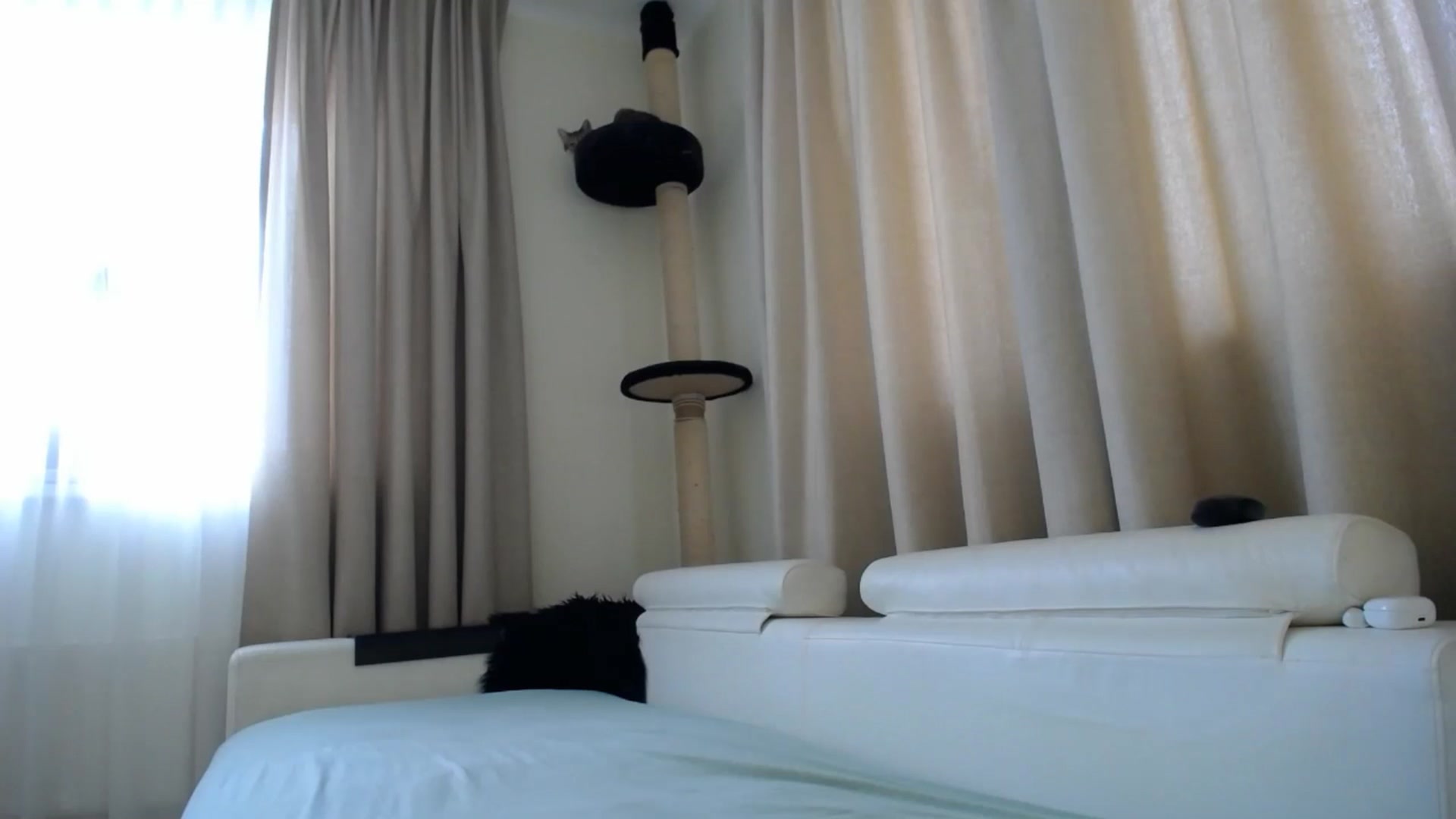 Gallery image thumbnail from EmilyTease's myfreecams stream on, 02/25/2026, 11:19 image 10 of 20