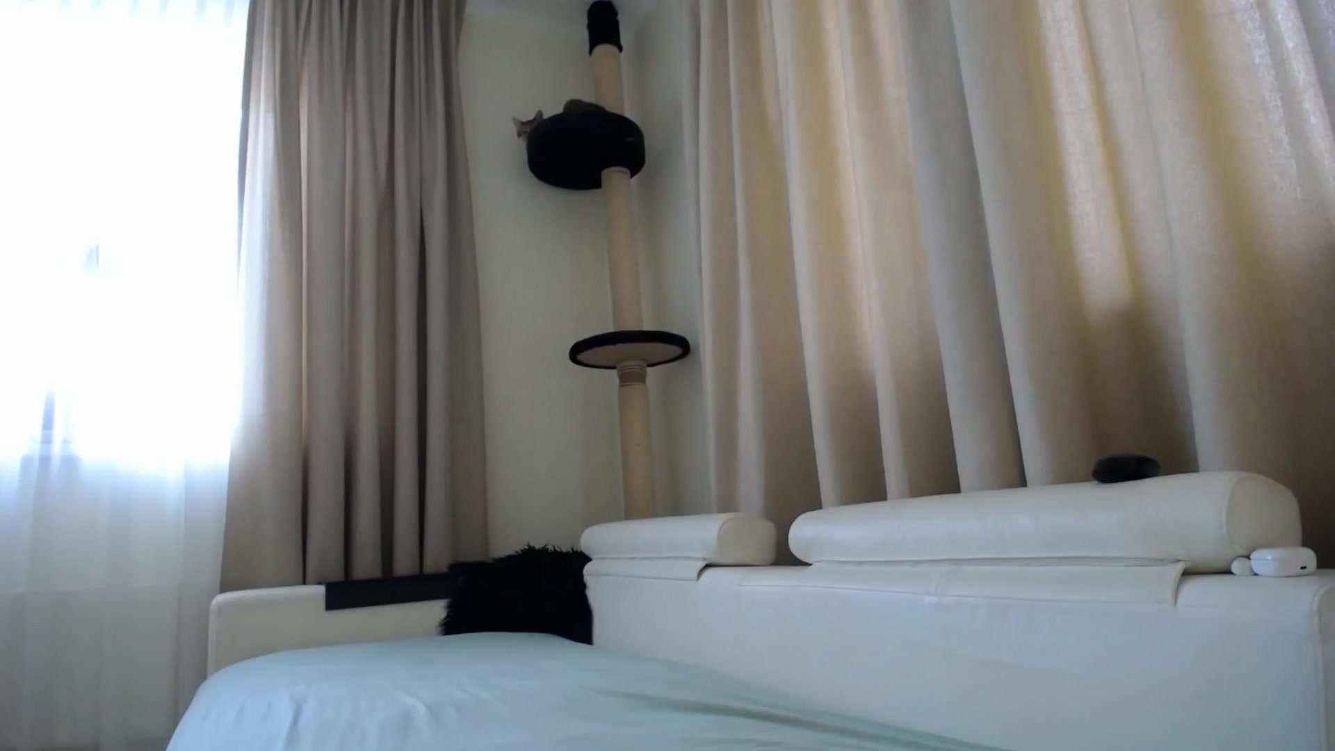 Gallery image thumbnail from EmilyTease's myfreecams stream on, 02/25/2026, 11:19 image 12 of 20