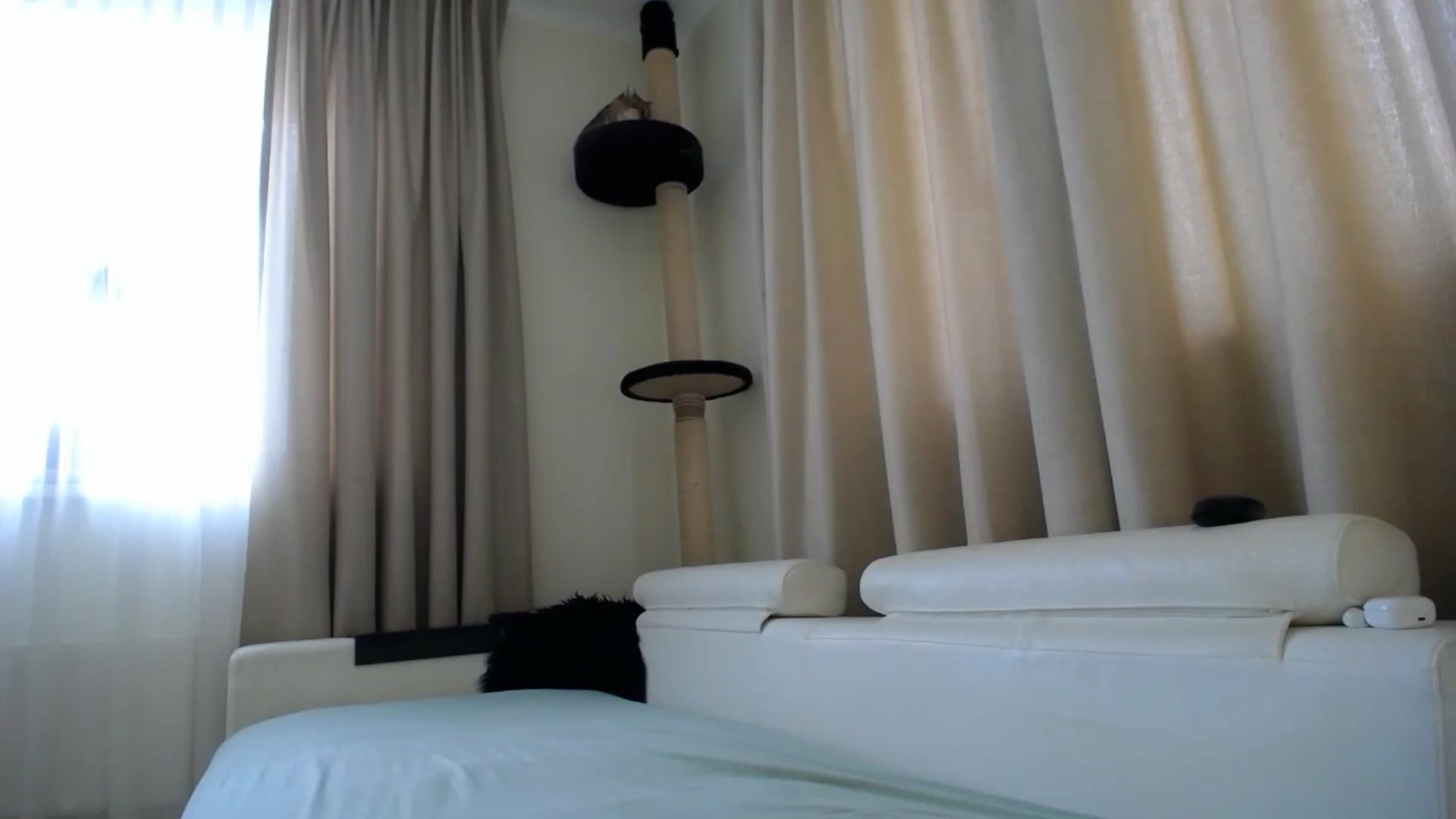 Gallery image thumbnail from EmilyTease's myfreecams stream on, 02/25/2026, 11:19 image 17 of 20