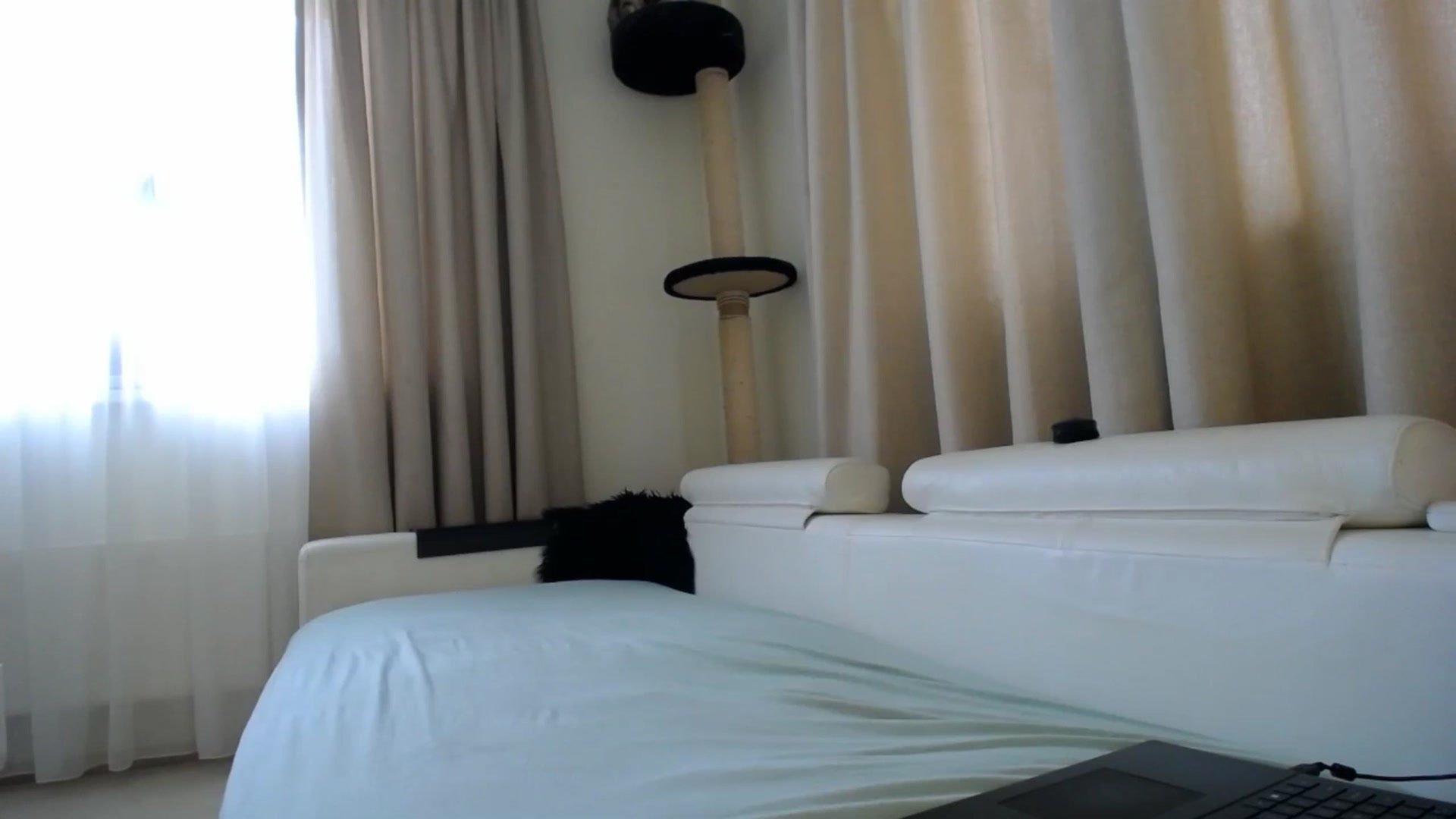 Gallery image thumbnail from EmilyTease's myfreecams stream on, 02/25/2026, 11:56 image 8 of 20