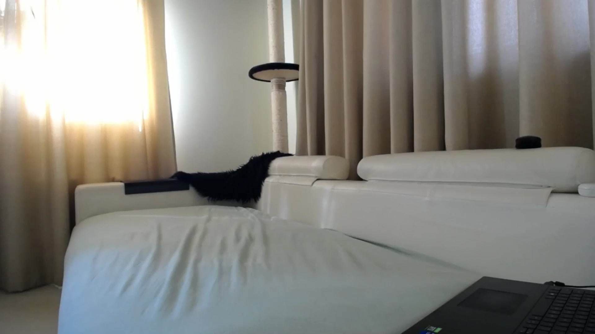 Gallery image thumbnail from EmilyTease's myfreecams stream on, 03/19/2026, 12:41 image 11 of 20