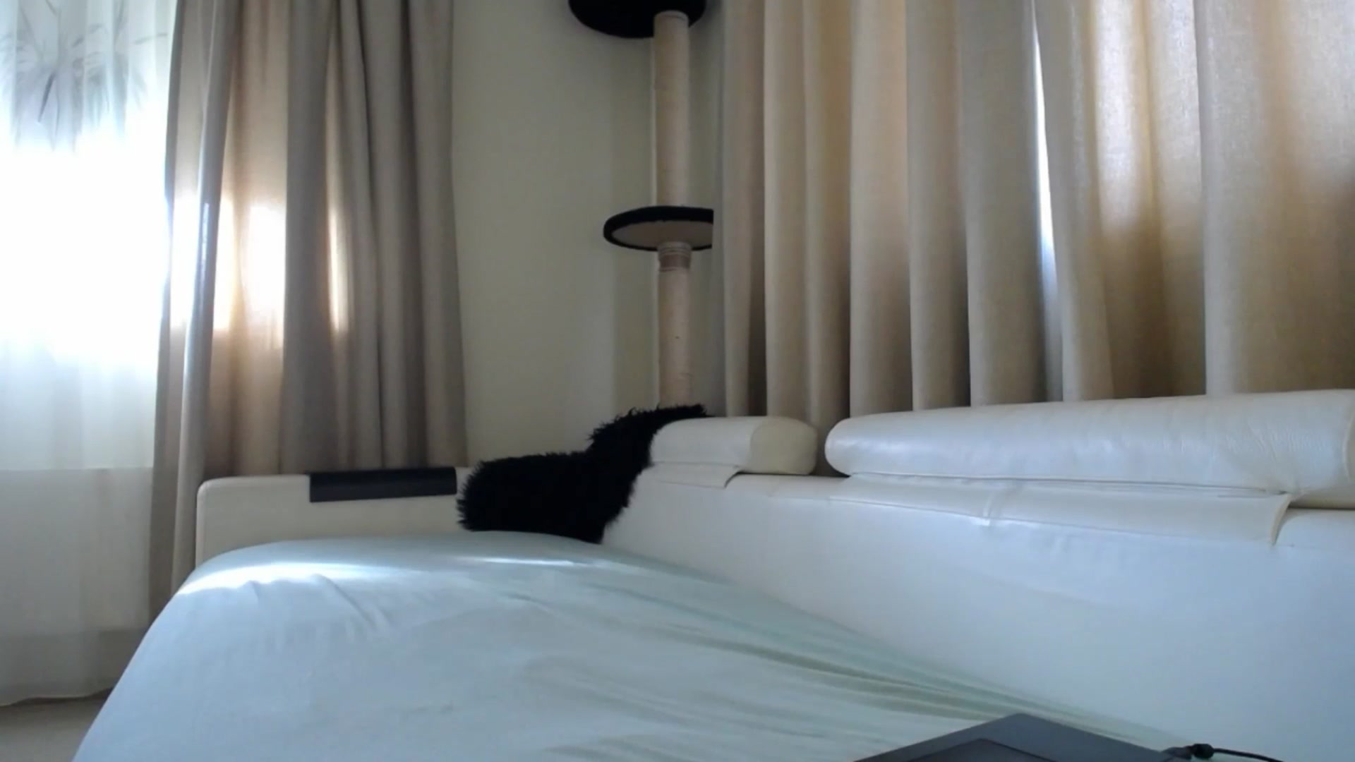 Gallery image thumbnail from EmilyTease's myfreecams stream on, 03/23/2026, 13:02 image 18 of 20