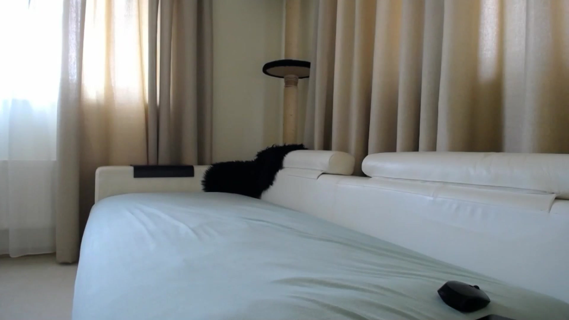 Gallery image thumbnail from EmilyTease's myfreecams stream on, 03/24/2026, 11:07 image 3 of 20