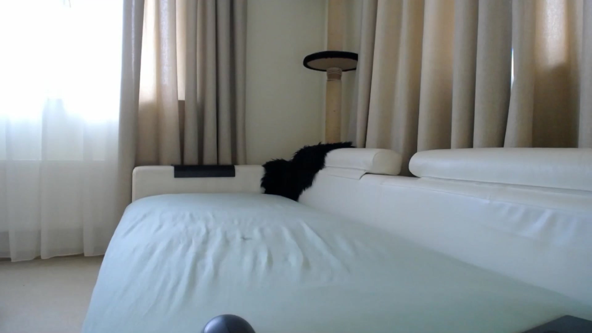 Gallery image thumbnail from EmilyTease's myfreecams stream on, 03/31/2026, 11:10 image 1 of 20