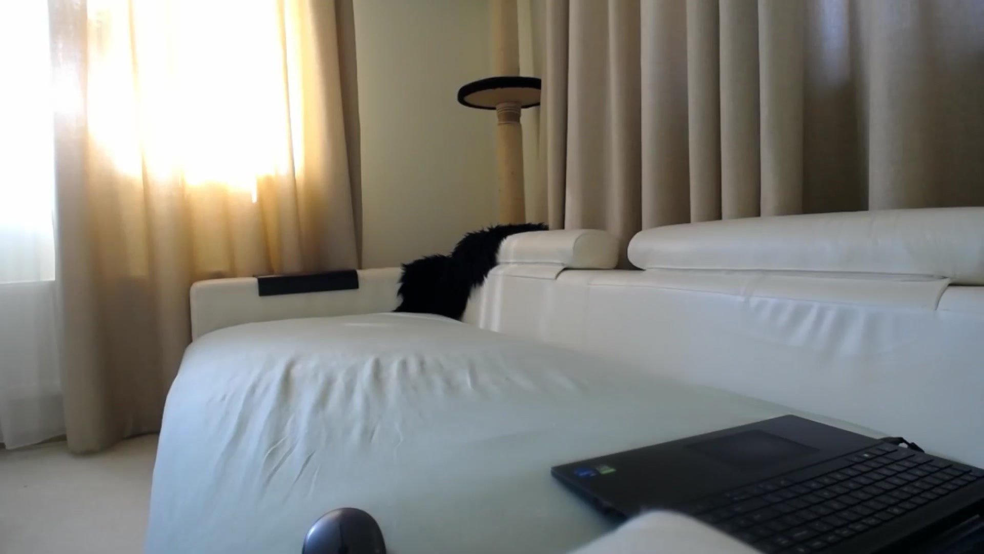 Gallery image thumbnail from EmilyTease's myfreecams stream on, 04/01/2026, 12:32 image 1 of 20