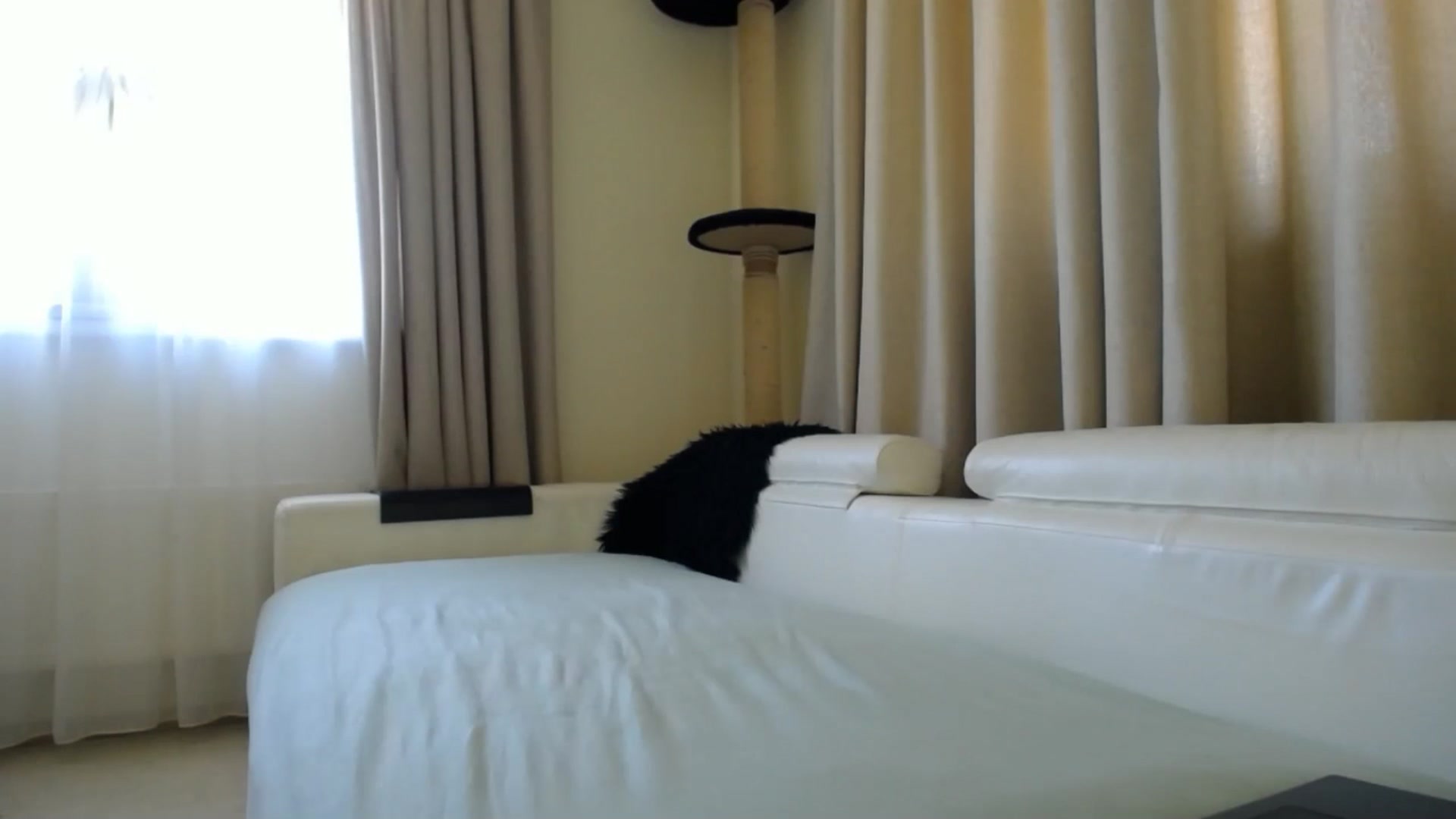 Gallery image thumbnail from EmilyTease's myfreecams stream on, 04/03/2026, 09:18 image 1 of 20