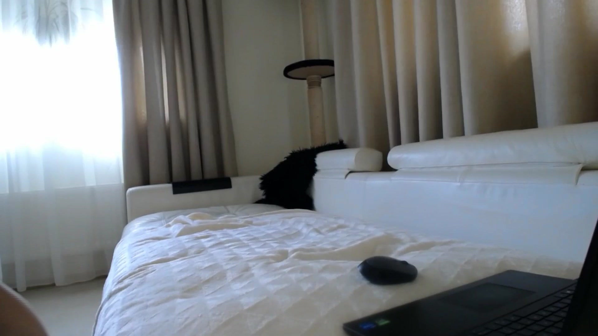 Gallery image thumbnail from EmilyTease's myfreecams stream on, 04/08/2026, 10:43 image 2 of 20