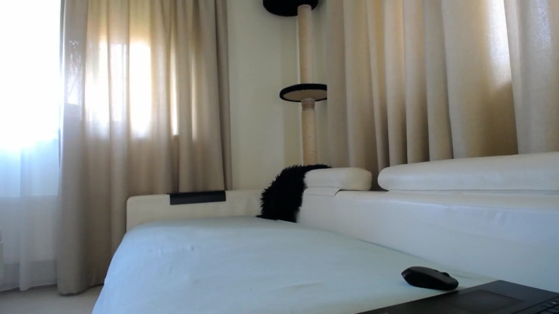 Gallery image thumbnail from EmilyTease's myfreecams stream on, 04/14/2026, 09:20 image 17 of 20