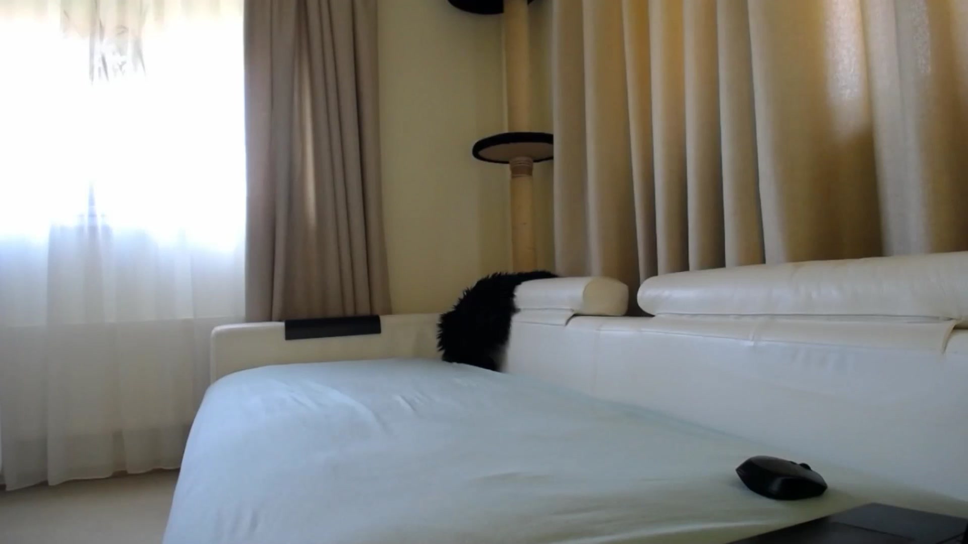 Gallery image thumbnail from EmilyTease's myfreecams stream on, 04/15/2026, 10:50 image 4 of 20