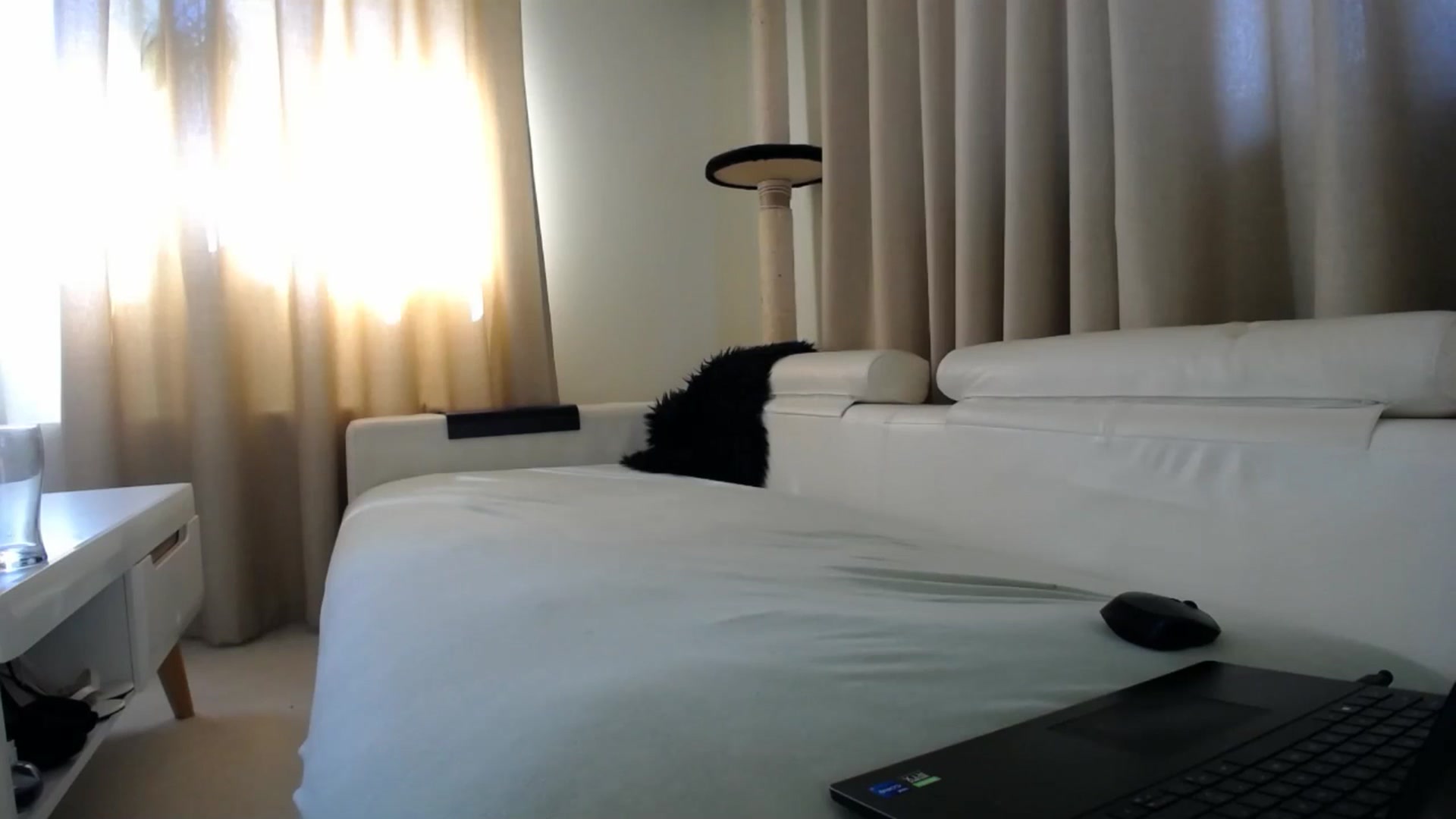 Gallery image thumbnail from EmilyTease's myfreecams stream on, 04/22/2026, 12:24 image 17 of 20