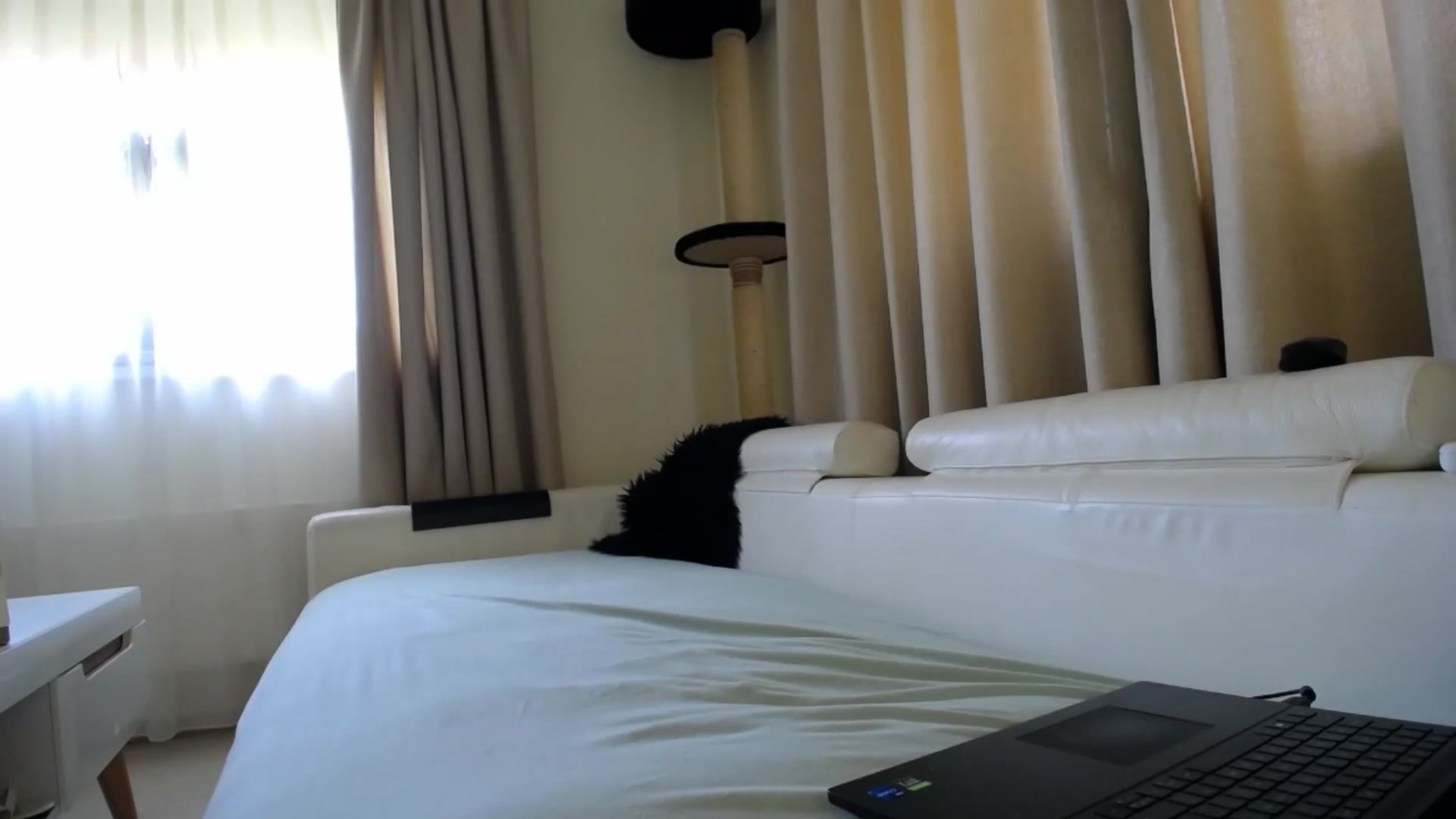 Gallery image thumbnail from EmilyTease's myfreecams stream on, 04/23/2026, 09:34 image 14 of 20