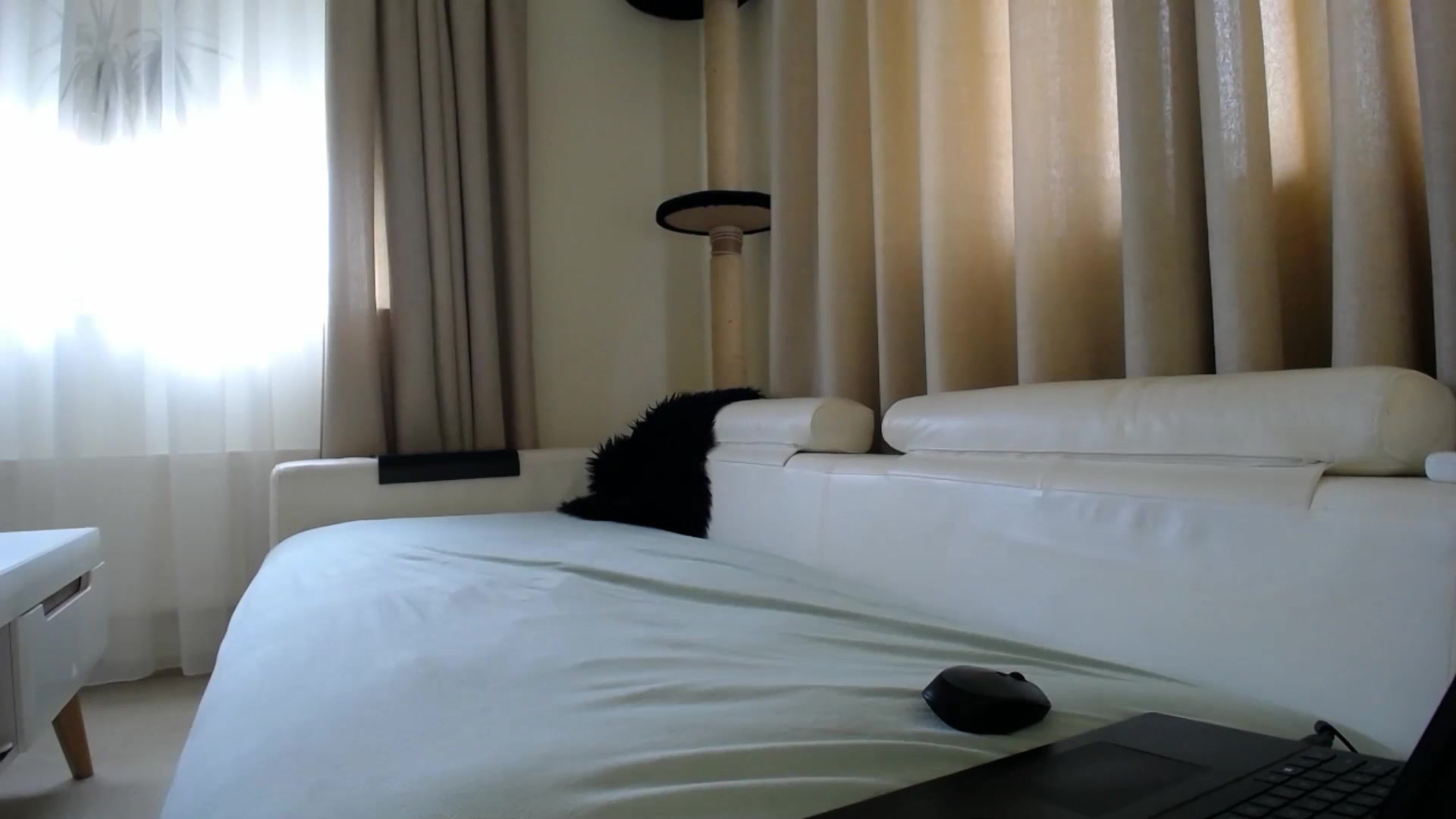Gallery image thumbnail from EmilyTease's myfreecams stream on, 04/24/2026, 12:14 image 13 of 20