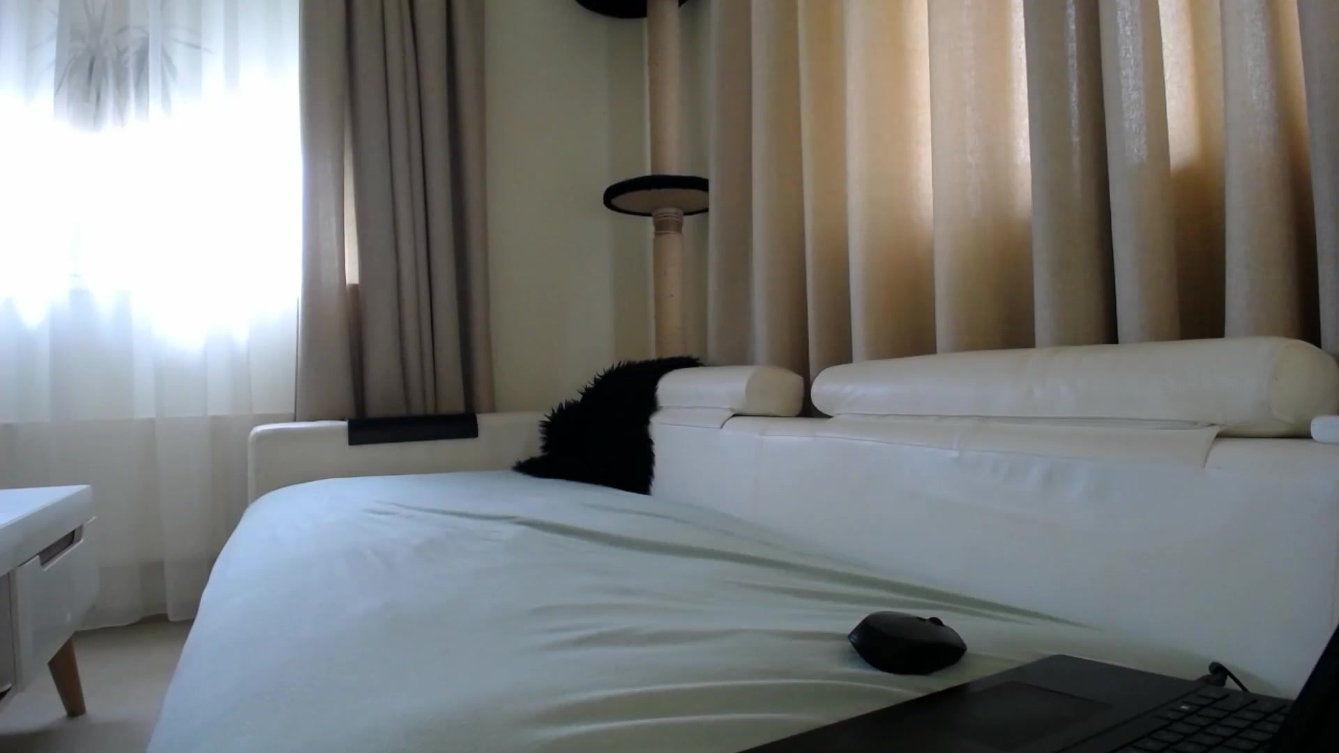Gallery image thumbnail from EmilyTease's myfreecams stream on, 04/24/2026, 12:14 image 14 of 20