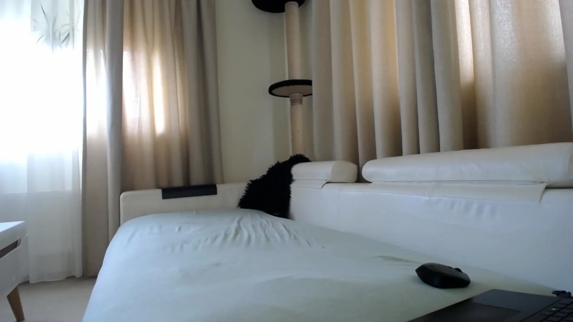 Gallery image thumbnail from EmilyTease's myfreecams stream on, 04/30/2026, 09:30 image 11 of 20
