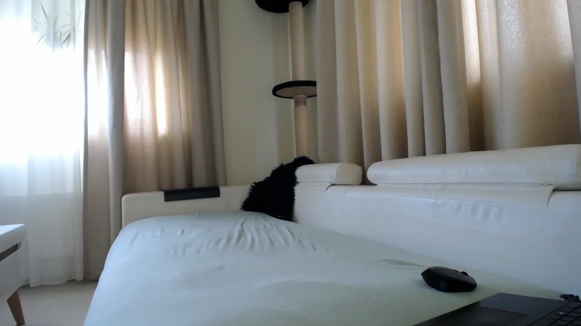 Gallery image thumbnail from EmilyTease's myfreecams stream on, 04/30/2026, 09:30 image 10 of 20