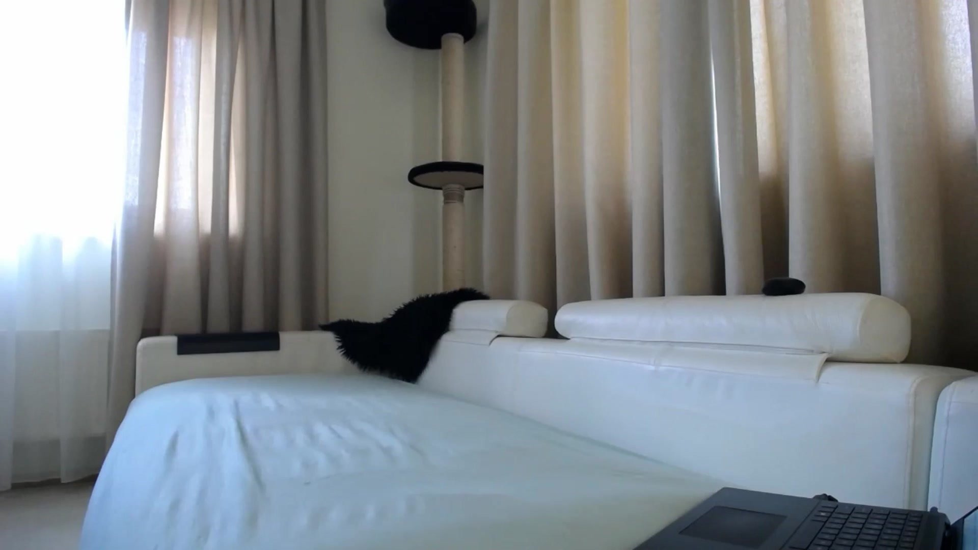 Gallery image thumbnail from EmilyTease's myfreecams stream on, 05/11/2026, 10:15 image 18 of 20