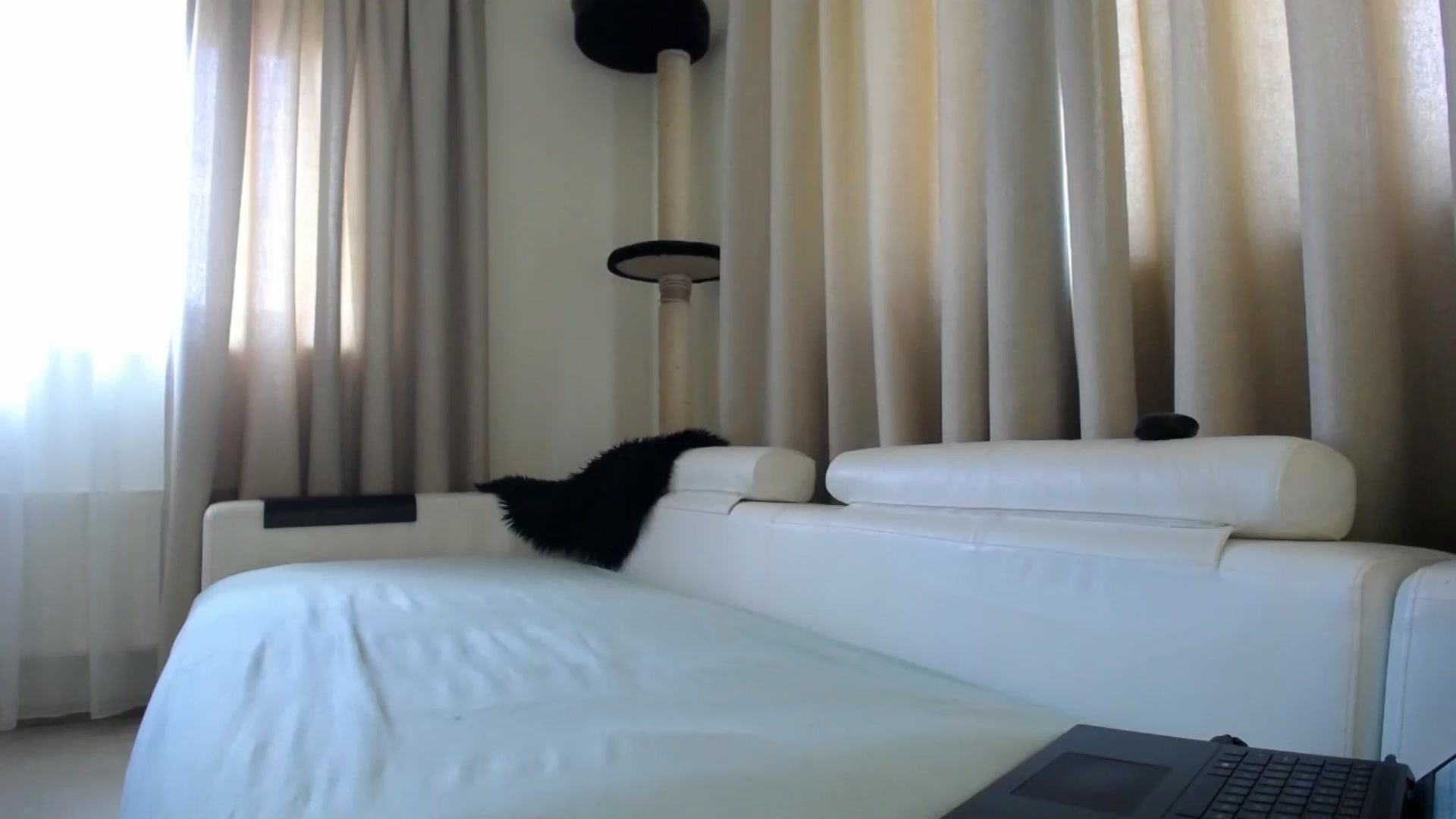 Gallery image thumbnail from EmilyTease's myfreecams stream on, 05/11/2026, 10:15 image 20 of 20