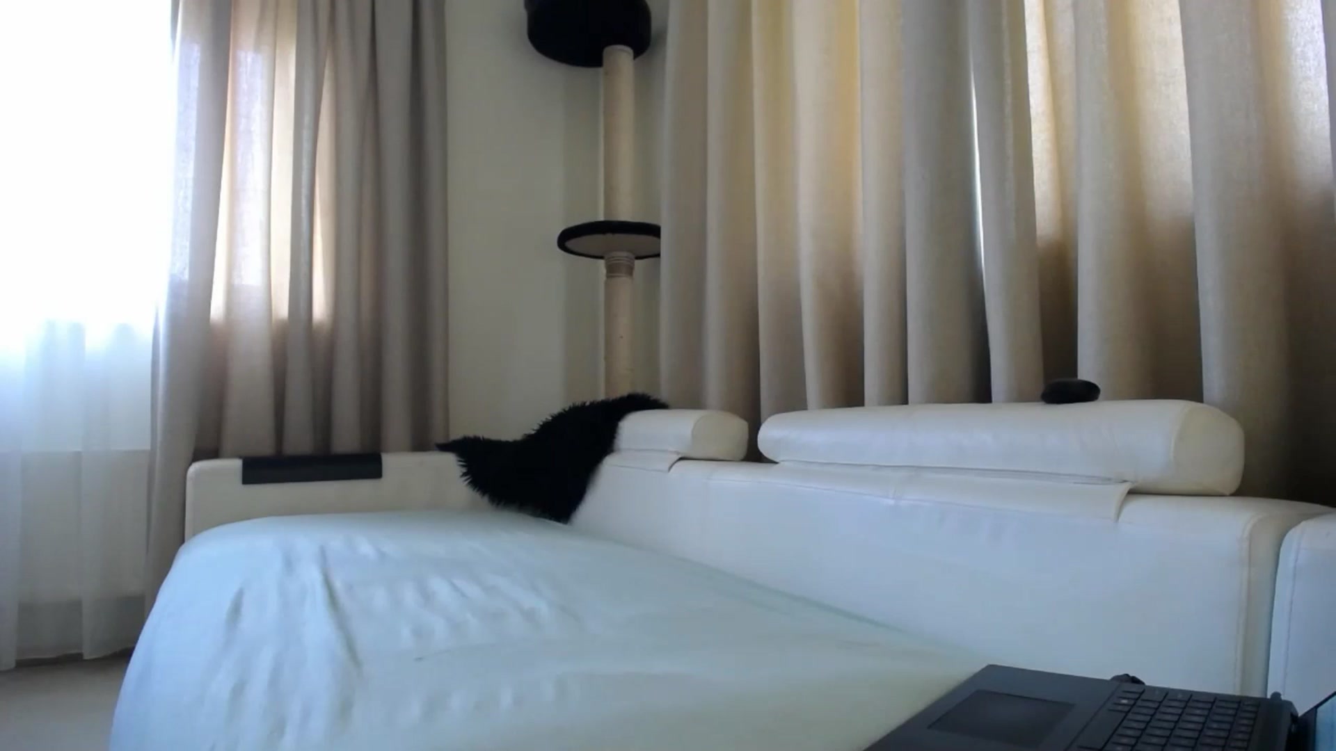 Gallery image thumbnail from EmilyTease's myfreecams stream on, 05/11/2026, 10:15 image 19 of 20