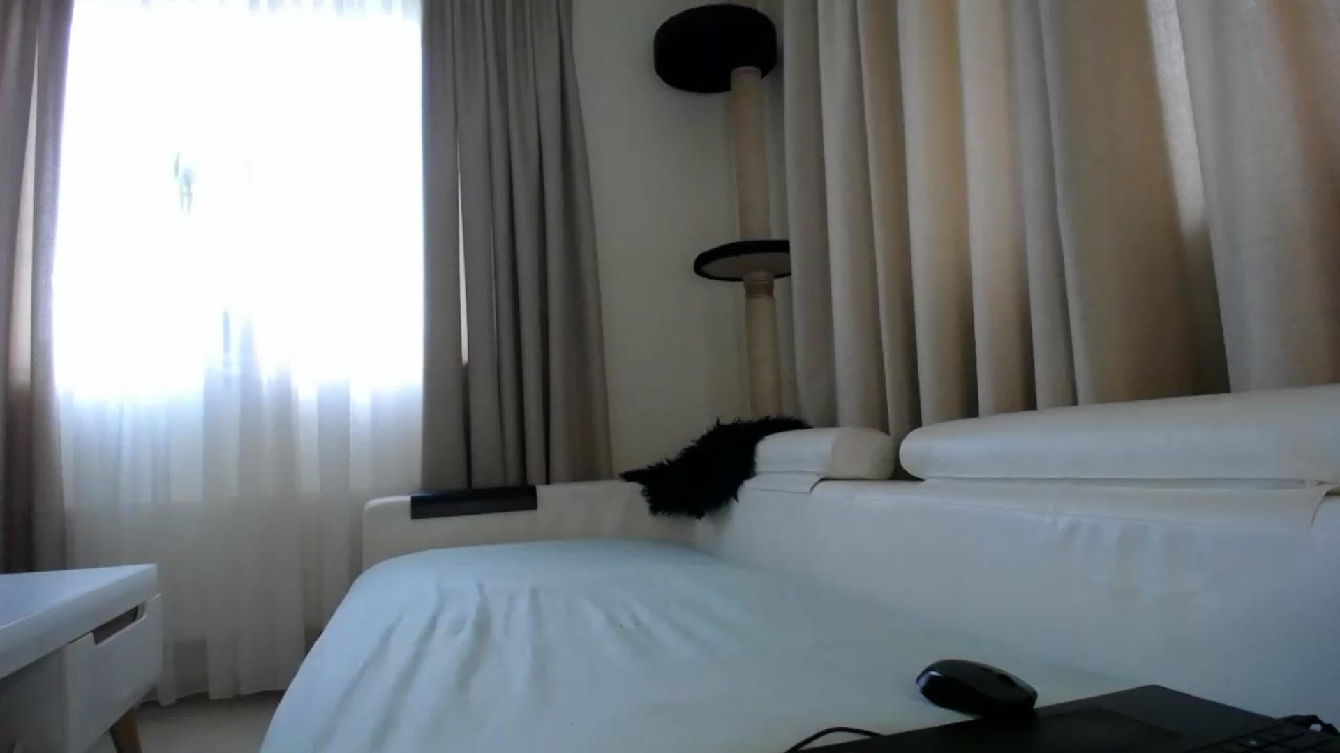 Gallery image thumbnail from EmilyTease's myfreecams stream on, 05/18/2026, 09:30 image 19 of 20