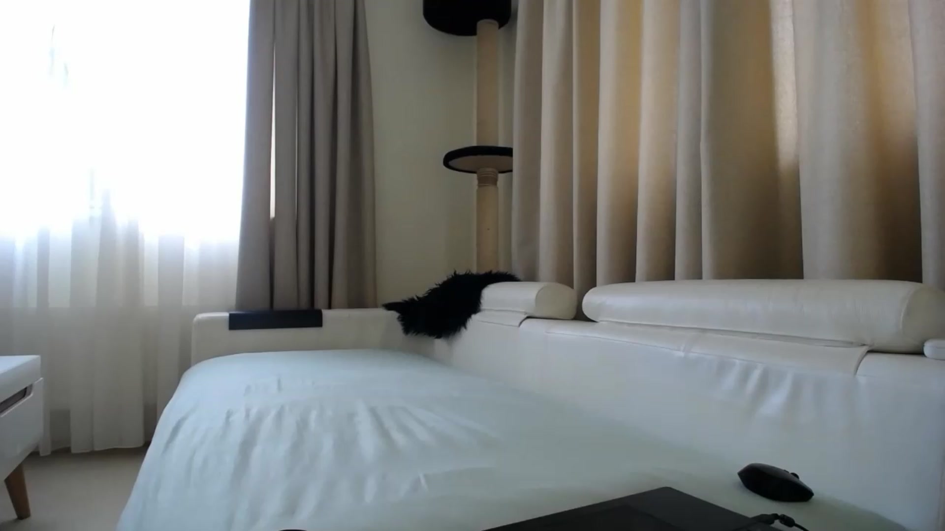 Gallery image thumbnail from EmilyTease's myfreecams stream on, 05/19/2026, 11:34 image 11 of 20