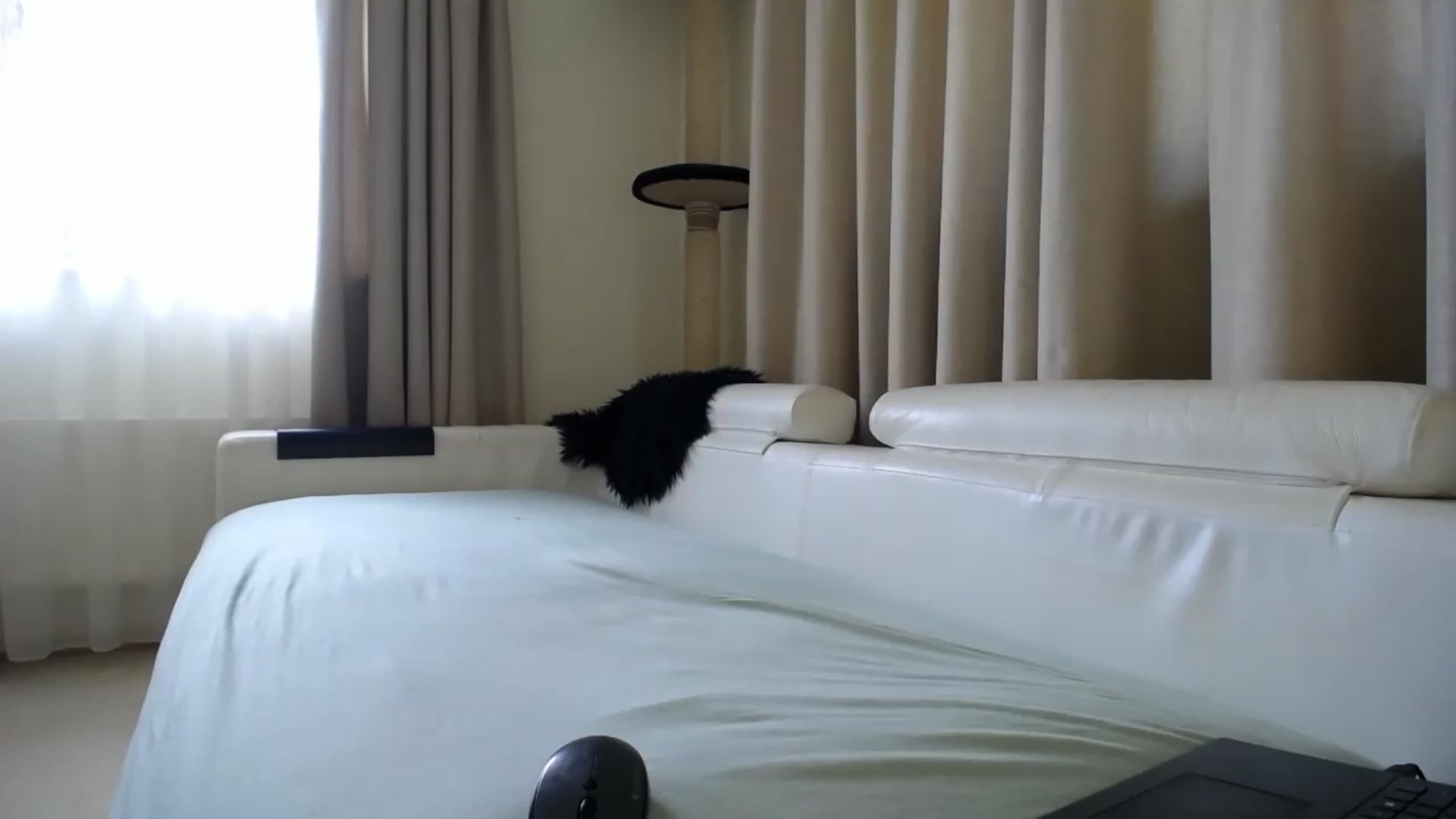 Gallery image thumbnail from EmilyTease's myfreecams stream on, 05/26/2026, 11:37 image 4 of 20