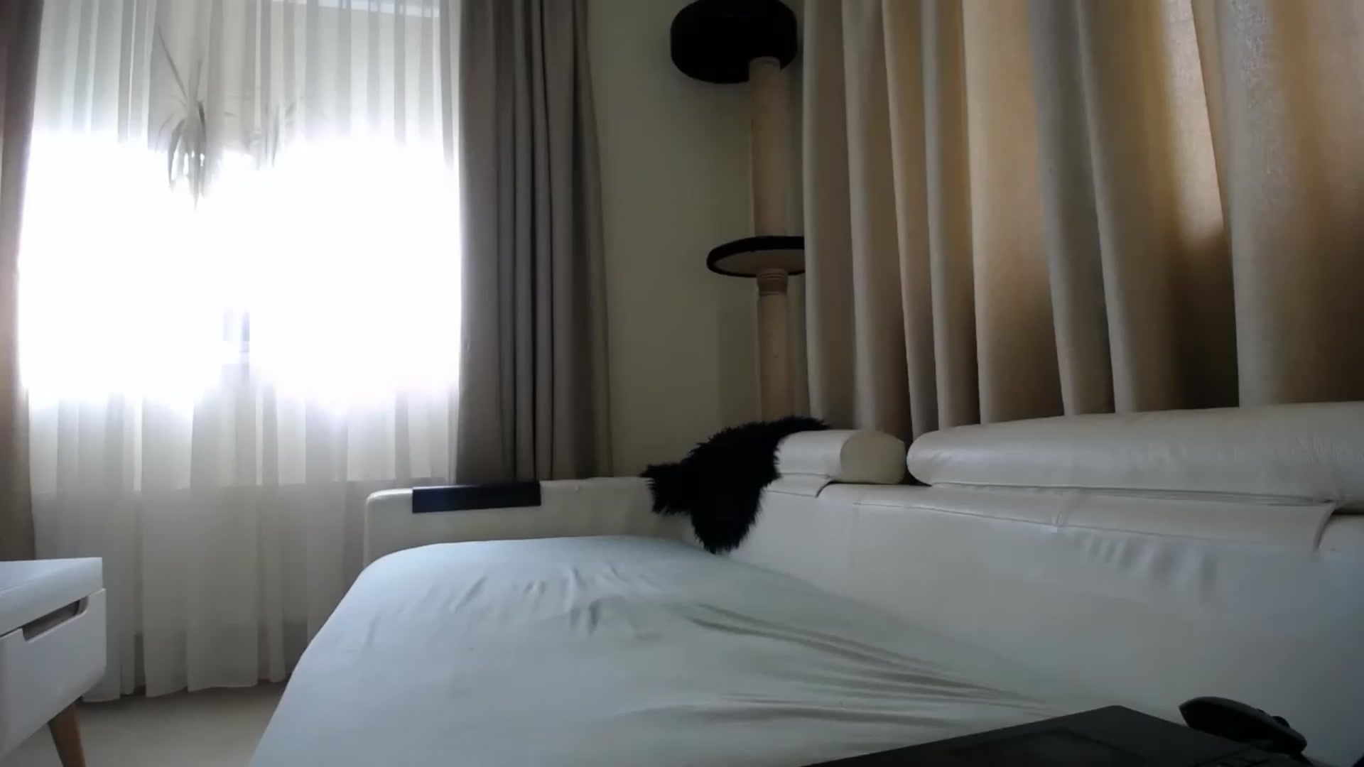 Gallery image thumbnail from EmilyTease's myfreecams stream on, 05/28/2026, 13:43 image 7 of 20