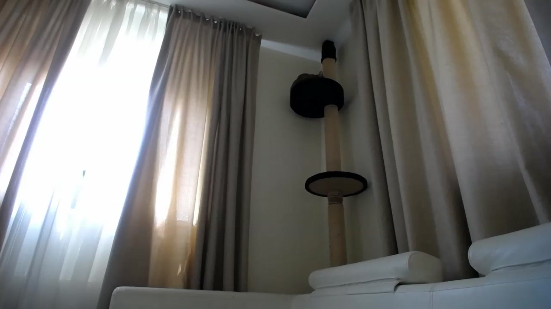 Gallery image thumbnail from EmilyTease's myfreecams stream on, 07/01/2026, 11:33 image 18 of 20