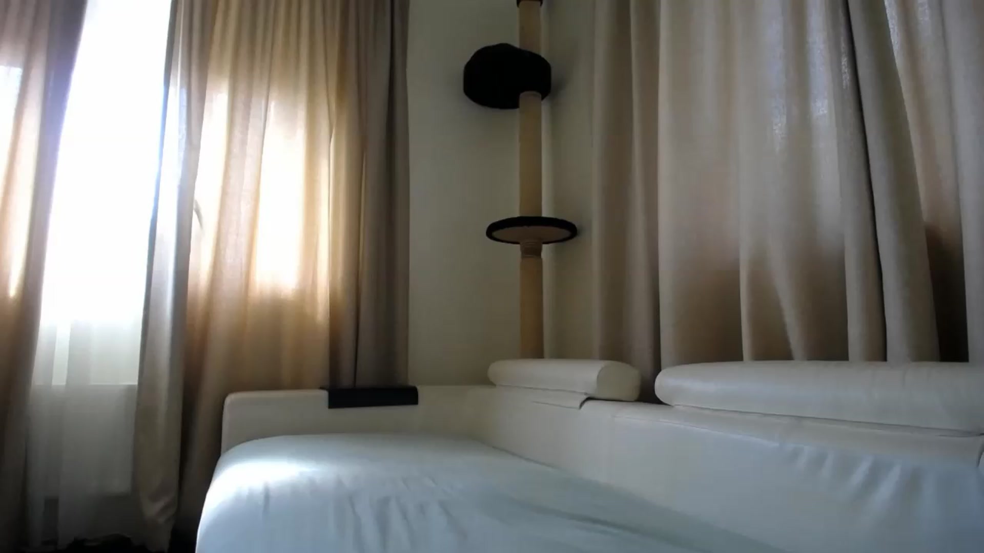 Gallery image thumbnail from EmilyTease's myfreecams stream on, 07/30/2026, 13:16 image 18 of 20