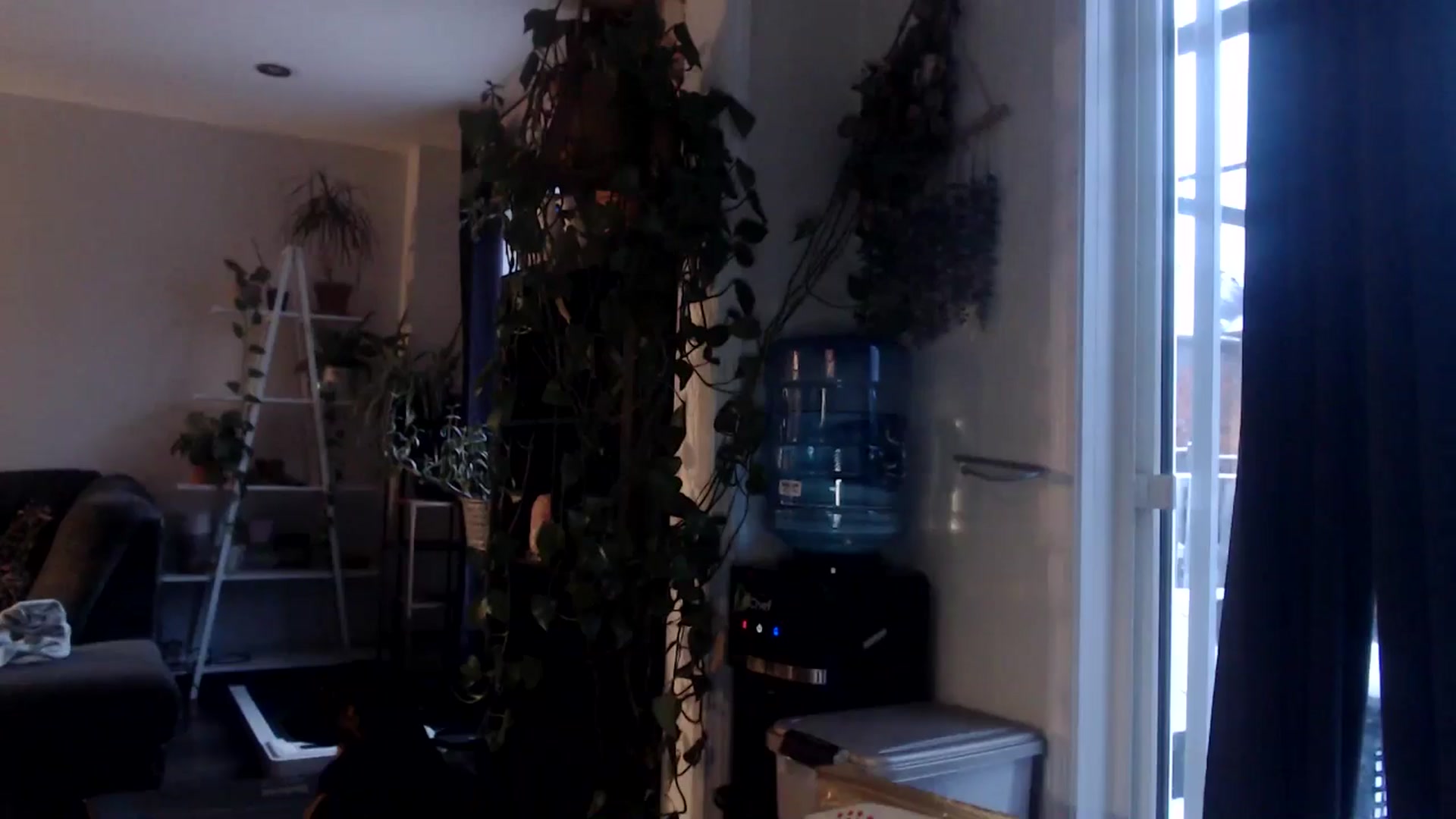 Gallery image thumbnail from EmilyTokes's myfreecams stream on, 11/10/2025, 22:06 image 14 of 20