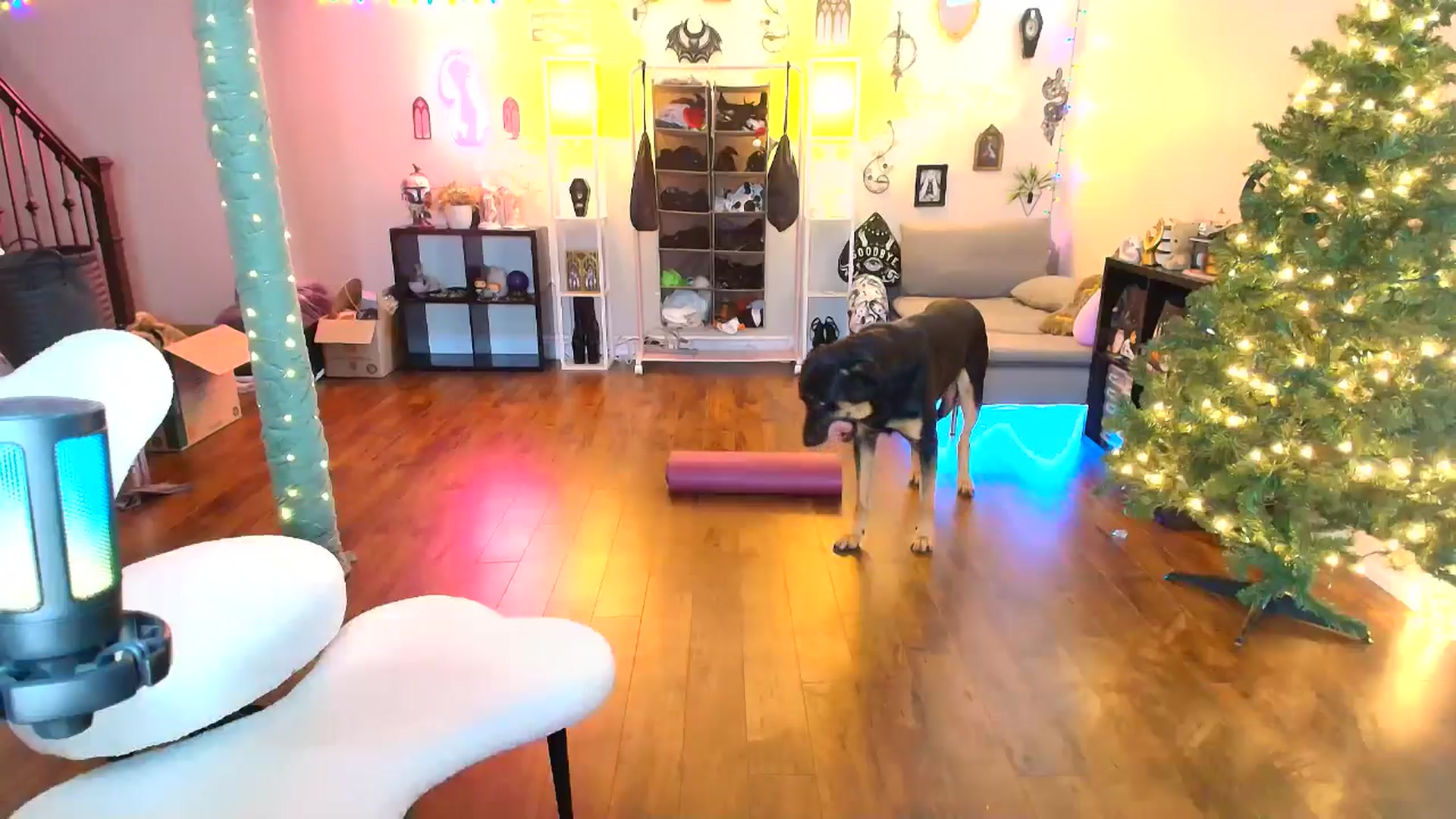Gallery image thumbnail from EmilyTokes's myfreecams stream on, 12/15/2025, 18:21 image 17 of 20