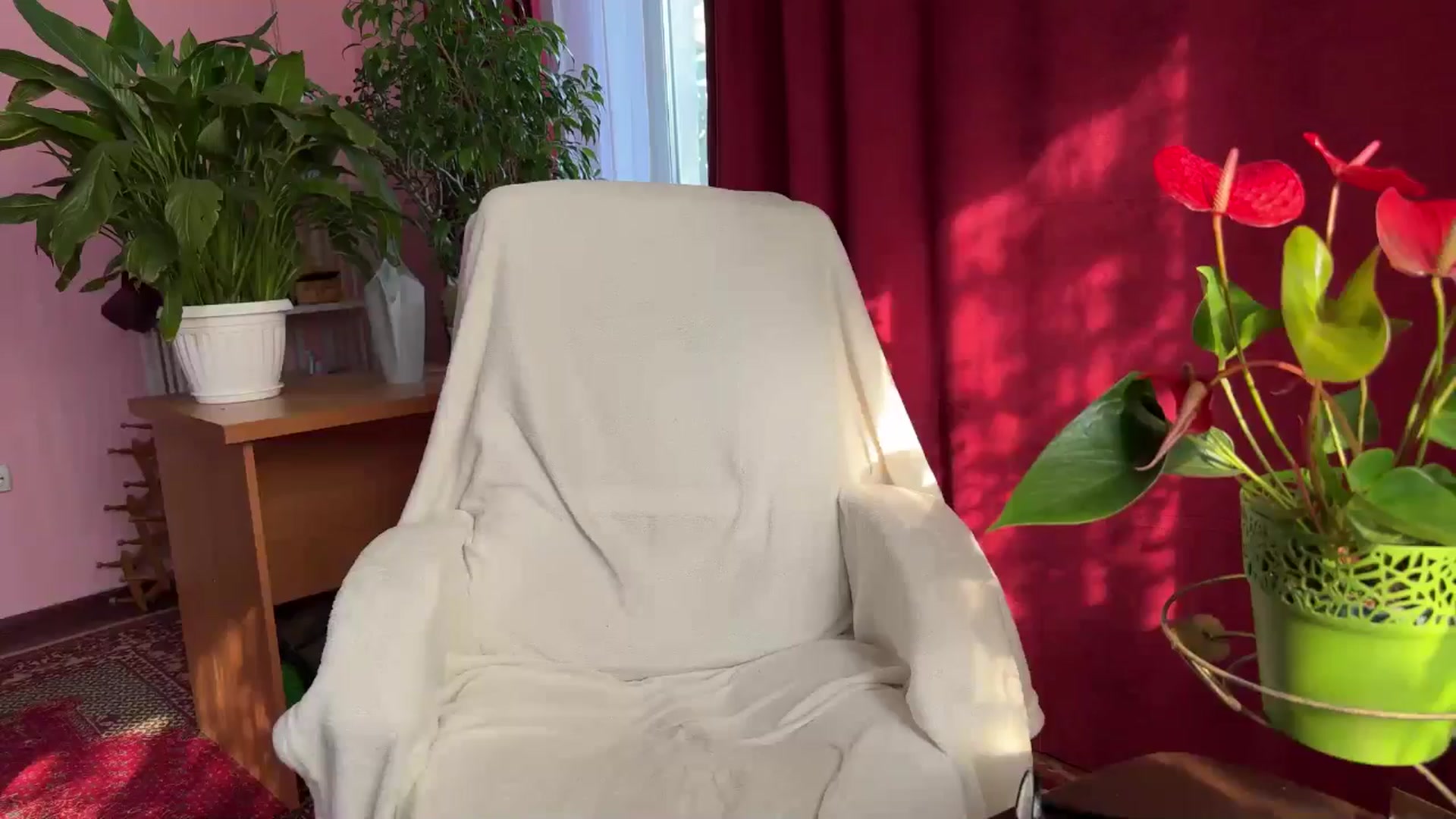 Gallery image thumbnail from Emily_Me's myfreecams stream on, 09/20/2024, 13:03 image 20 of 20