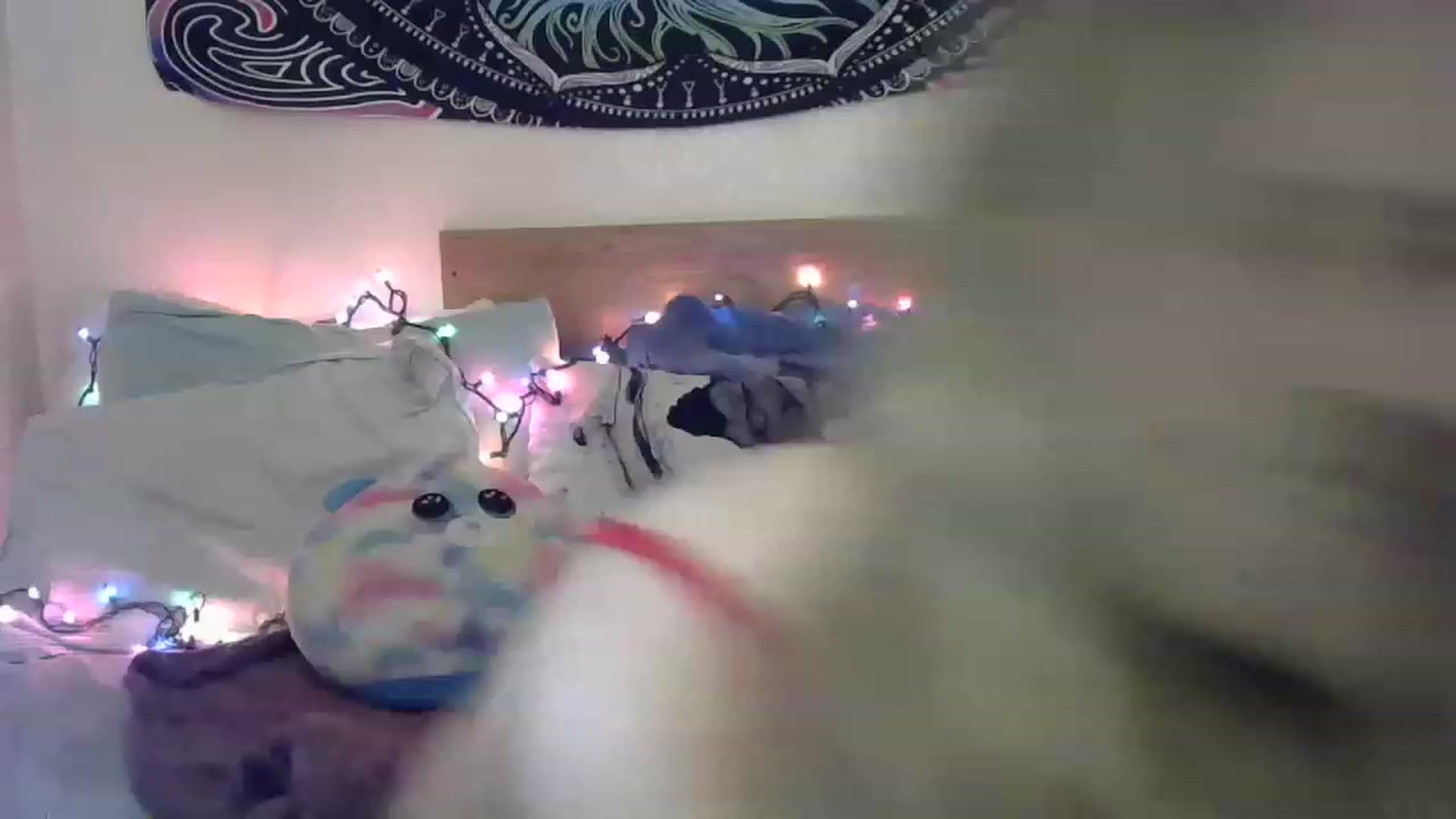 Gallery image thumbnail from Emilylove333's myfreecams stream on, 03/07/2023, 02:07 image 13 of 20