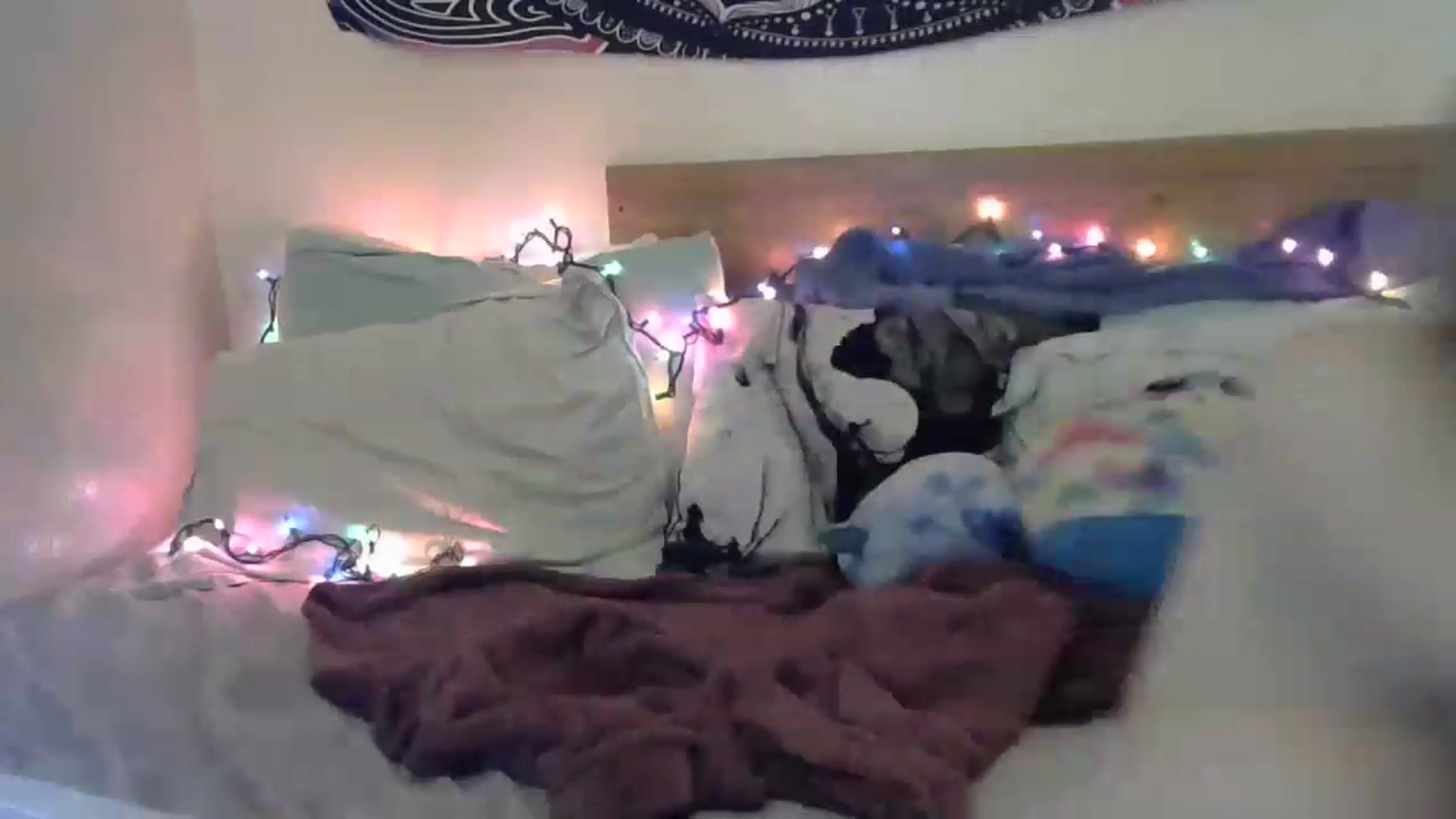 Gallery image thumbnail from Emilylove333's myfreecams stream on, 03/07/2023, 03:08 image 9 of 20