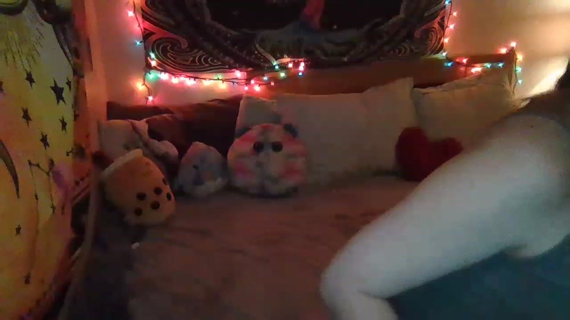 Gallery image thumbnail from Emilylove333's myfreecams stream on, 04/28/2023, 24:11 image 20 of 20