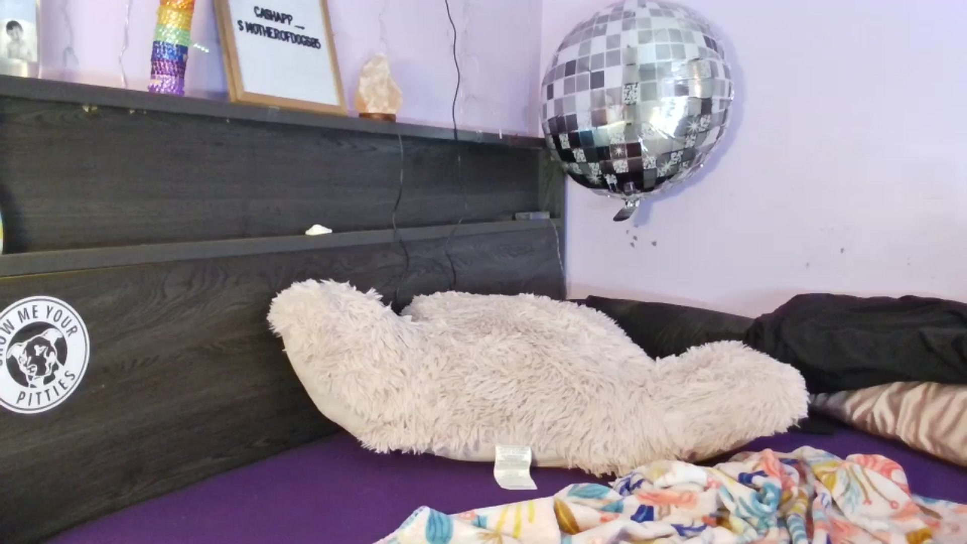 Gallery image thumbnail from EmmaHaze's myfreecams stream on, 04/17/2025, 05:52 image 20 of 20