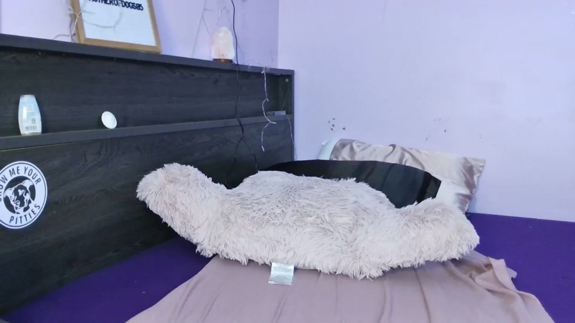 Gallery image thumbnail from EmmaHaze's myfreecams stream on, 07/25/2025, 06:14 image 19 of 20