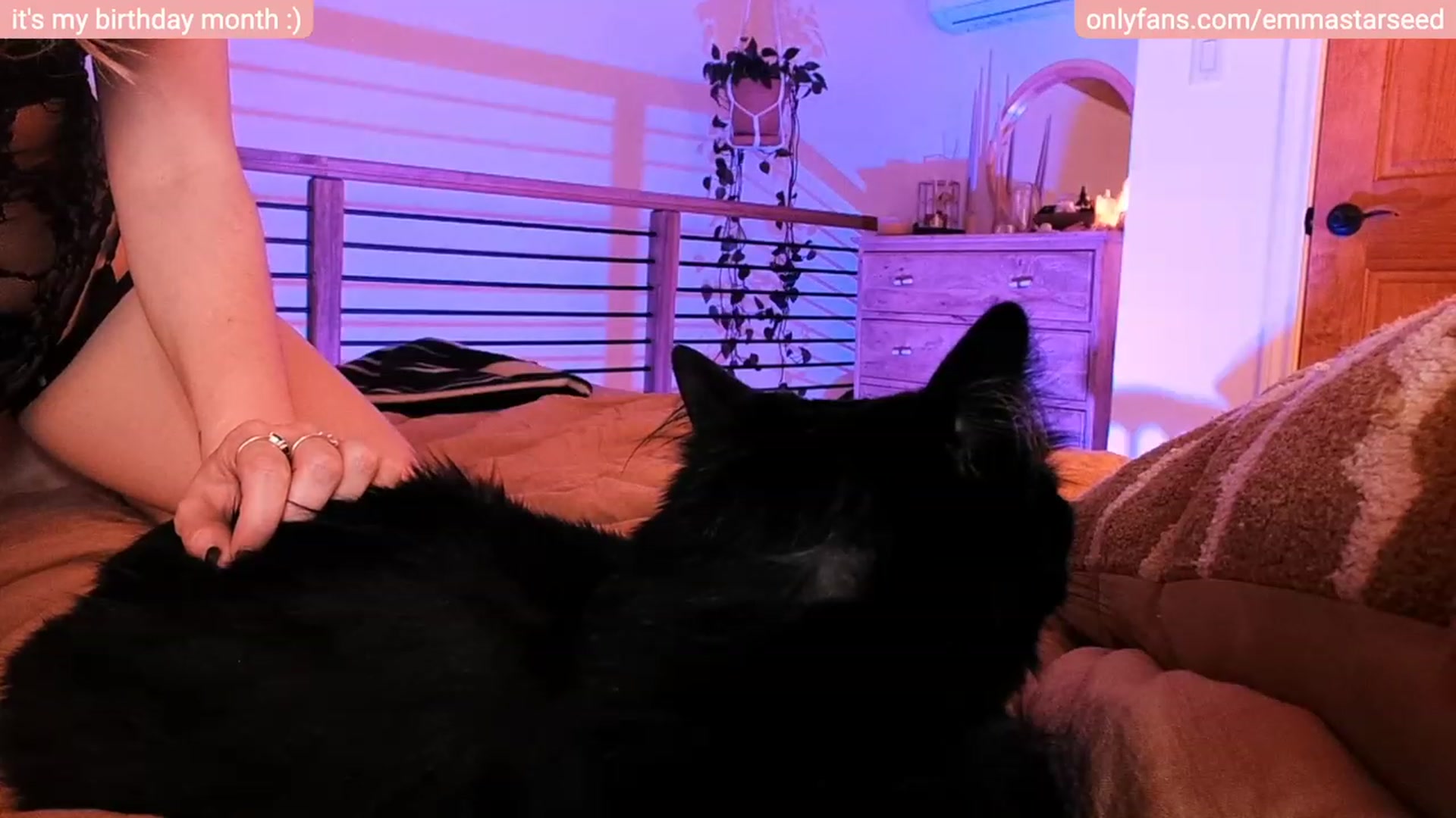 Gallery image thumbnail from EmmaStarseed's myfreecams stream on, 03/01/2023, 07:00 image 15 of 20