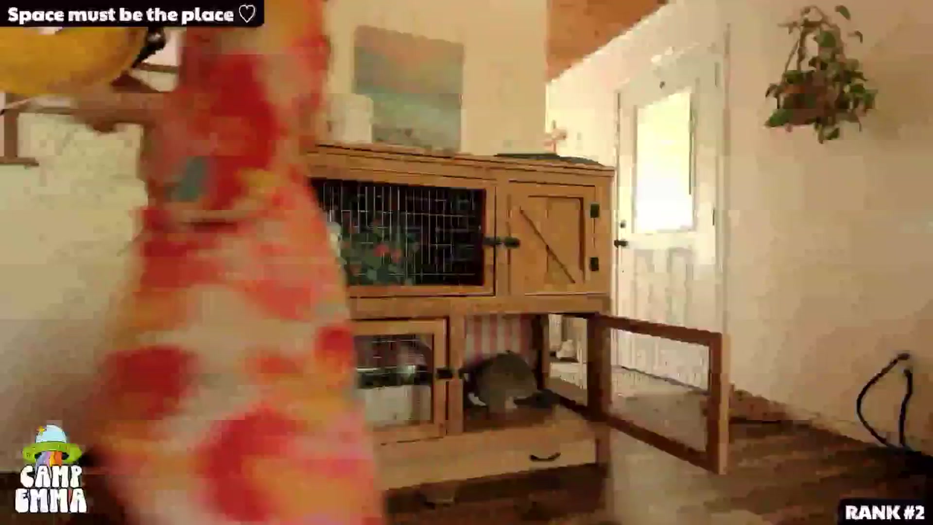 Gallery image thumbnail from EmmaStarseed's myfreecams stream on, 09/22/2024, 19:54 image 15 of 20